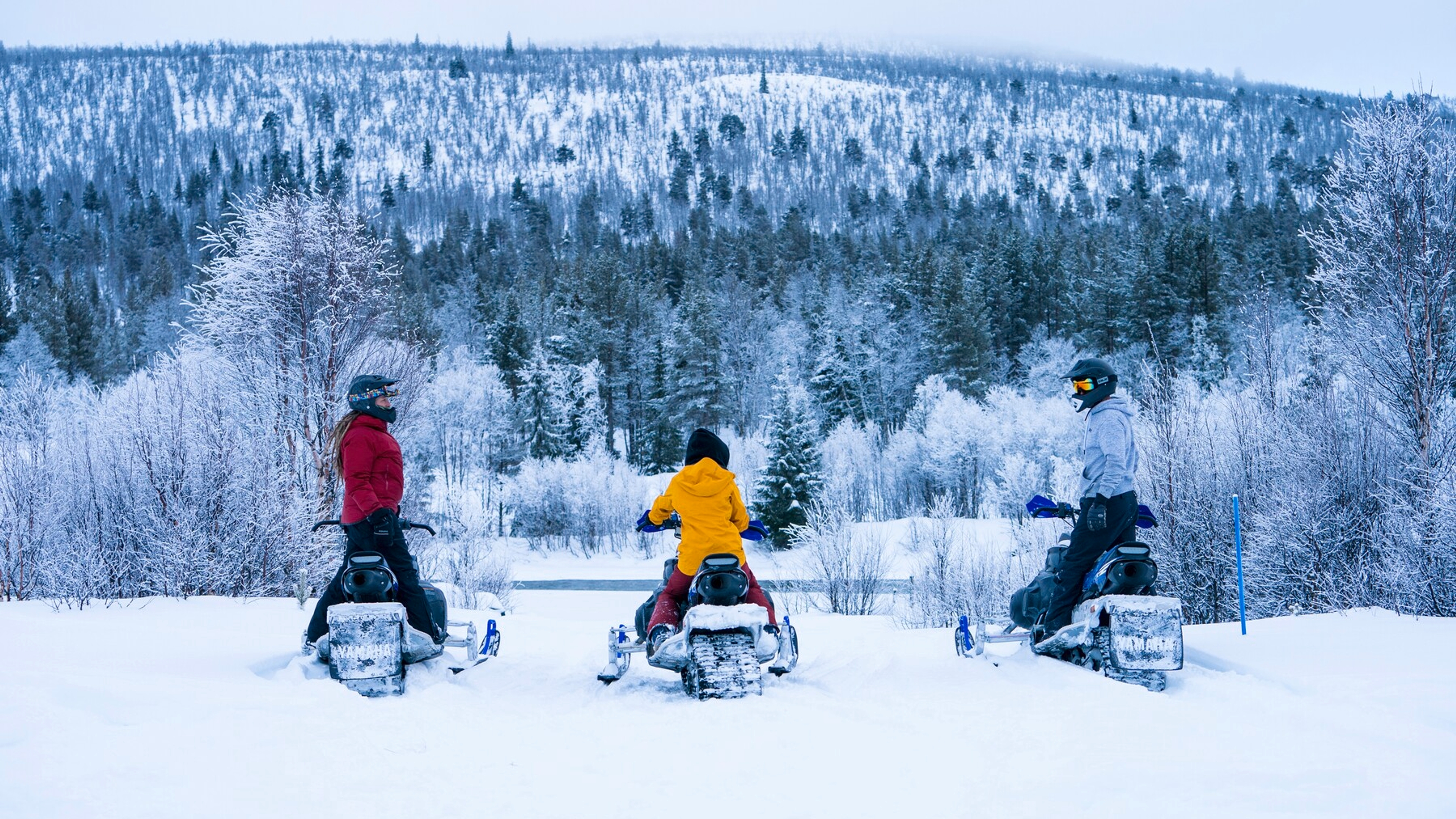 Three persons sitting on snowmobiles looking at the winterforest in Dagali, Geilo, Eastern Norway.
