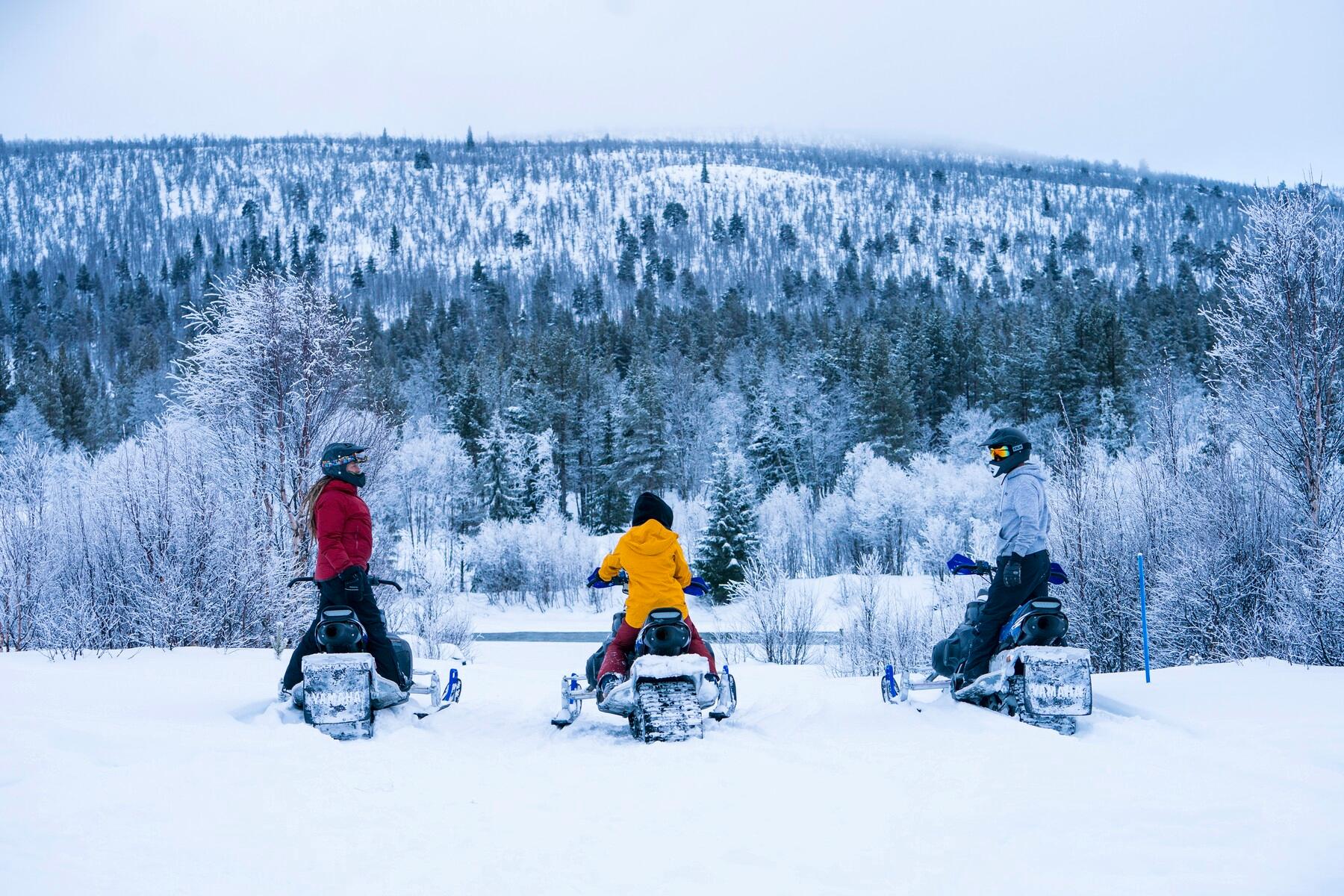Three persons sitting on snowmobiles looking at the winterforest in Dagali, Geilo, Eastern Norway.