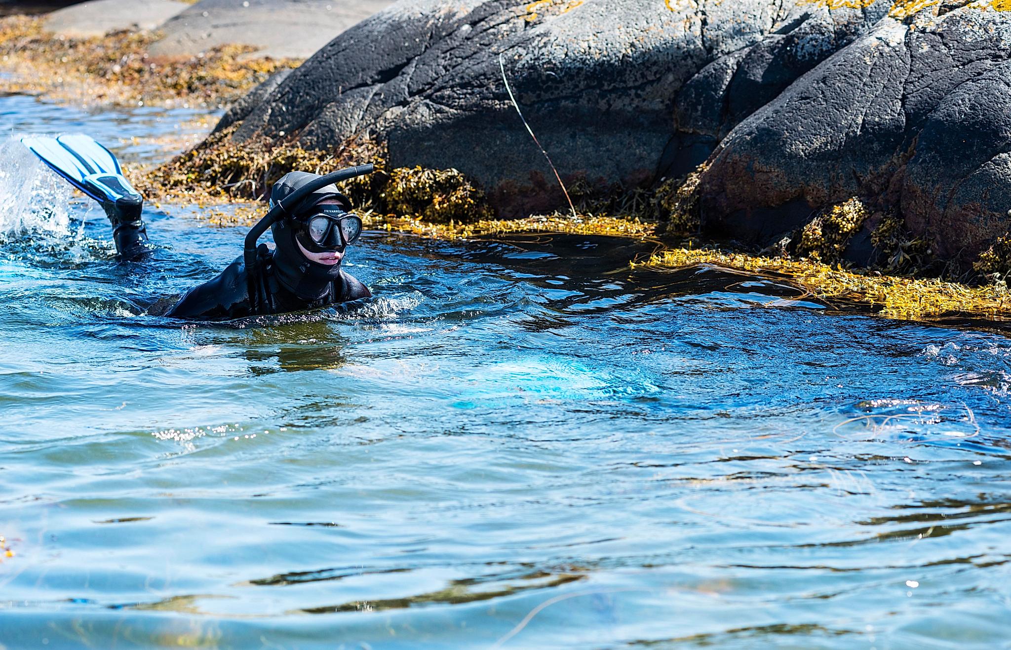 Free diving in Tvedestrand, Southern Norway