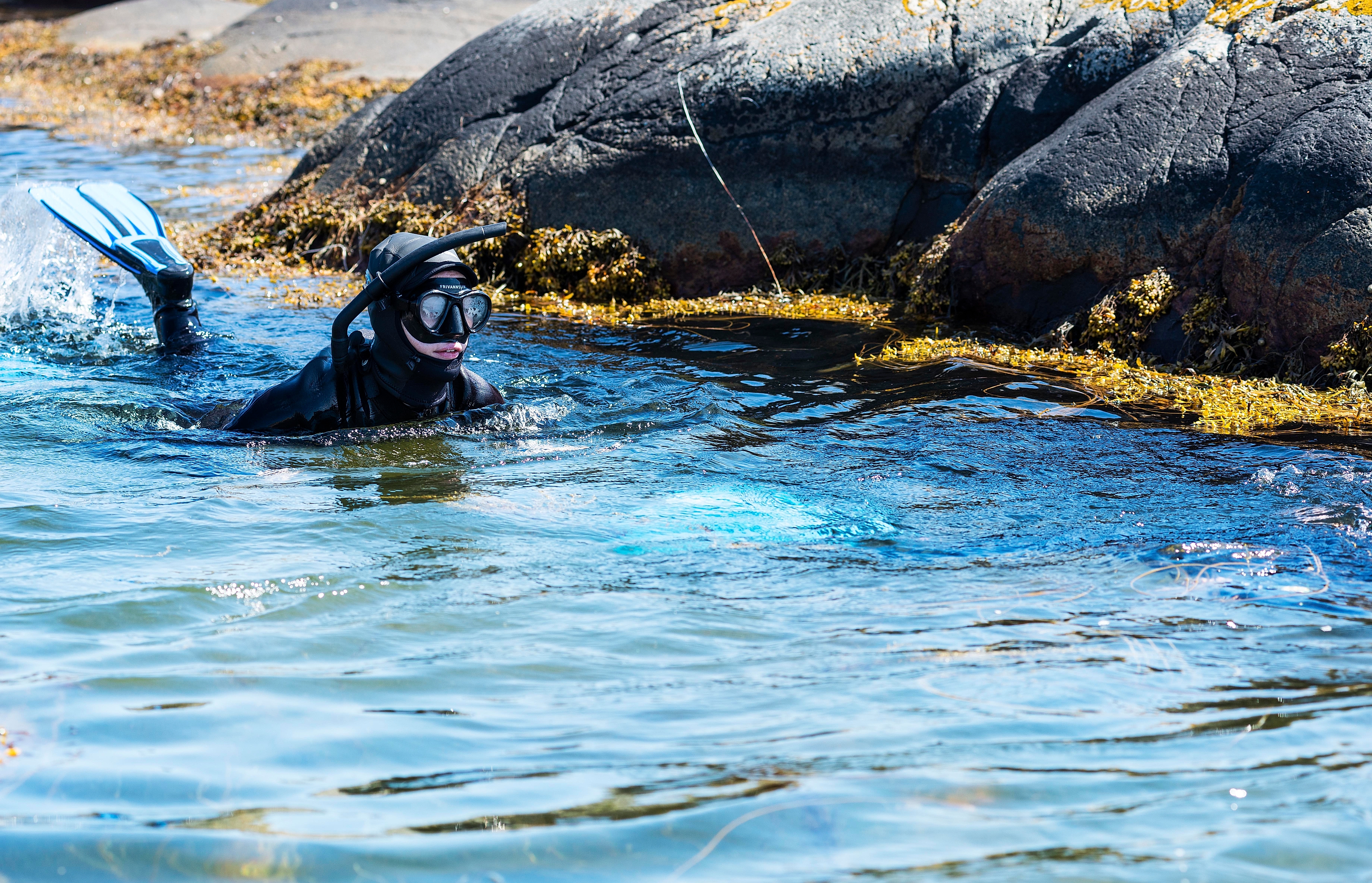 Free diving in Tvedestrand, Southern Norway