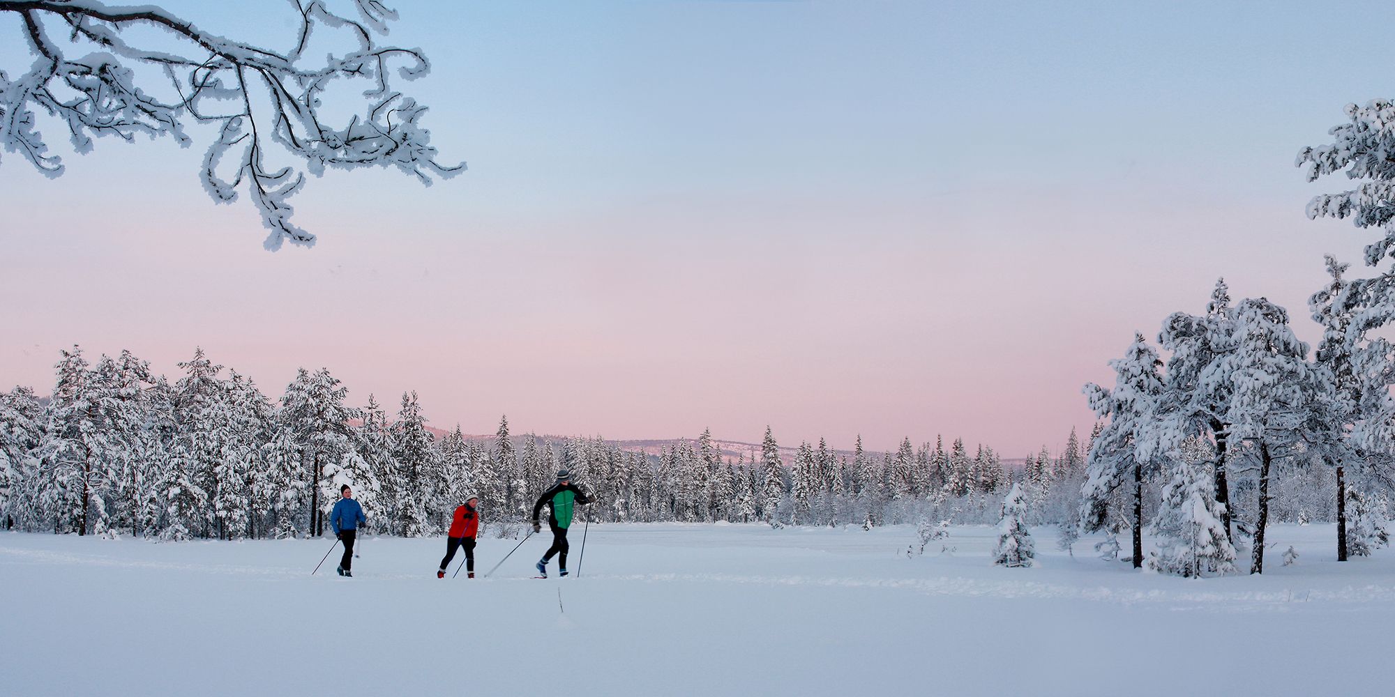 Three people are skiing in the woods outside of Lillehammer in Eastern Norway
