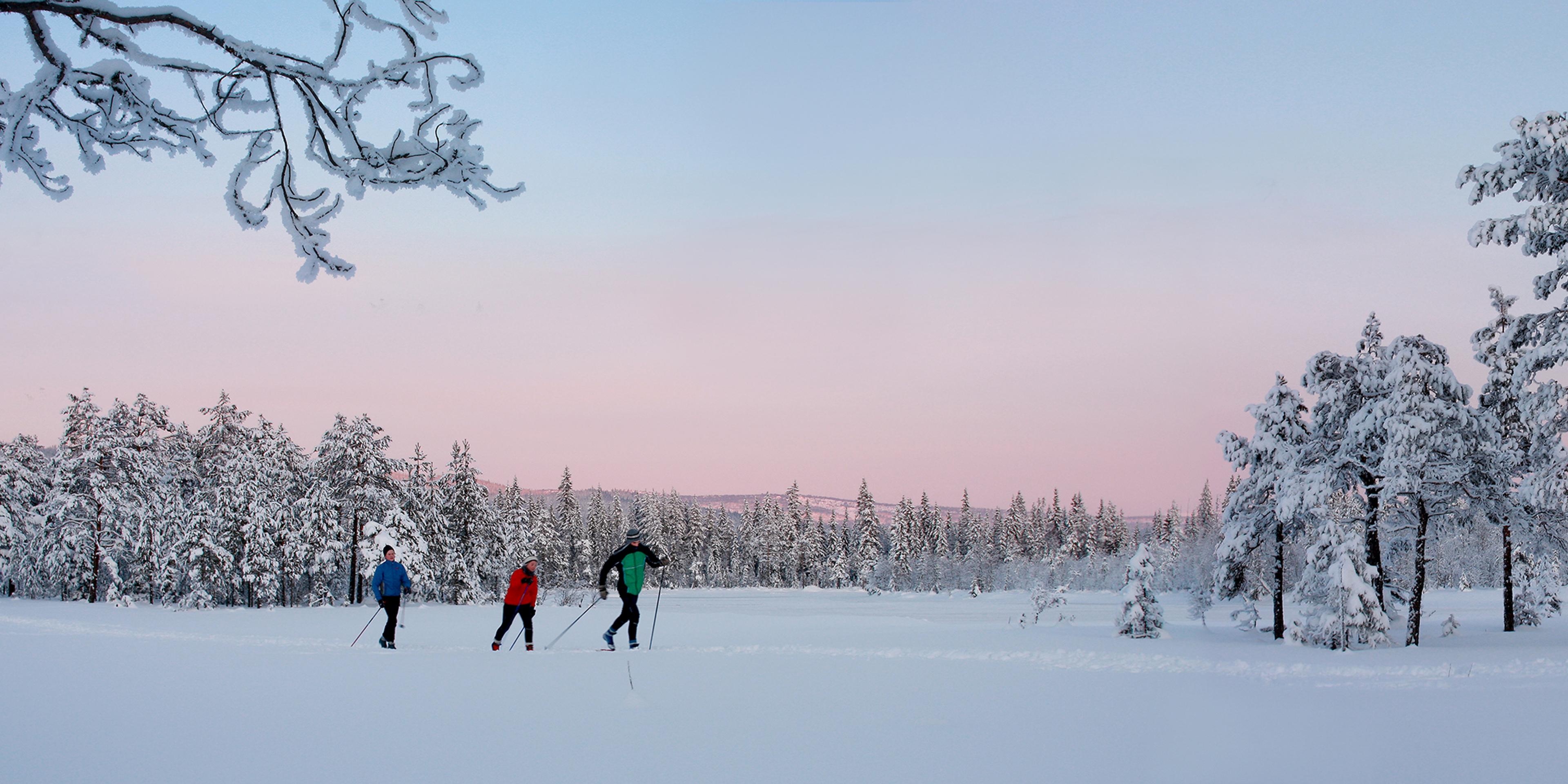 Three people are skiing in the woods outside of Lillehammer in Eastern Norway