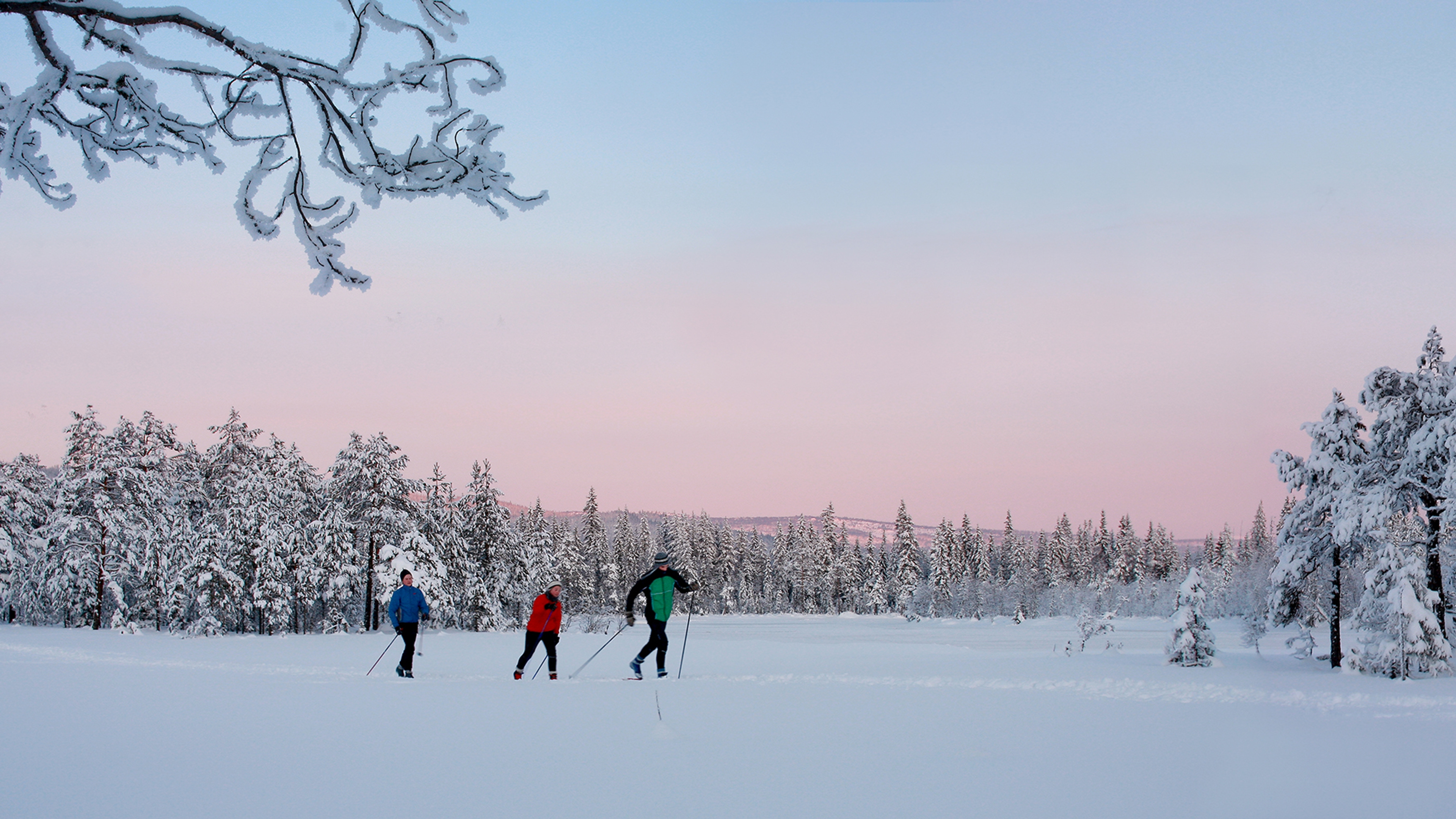 Three people are skiing in the woods outside of Lillehammer in Eastern Norway