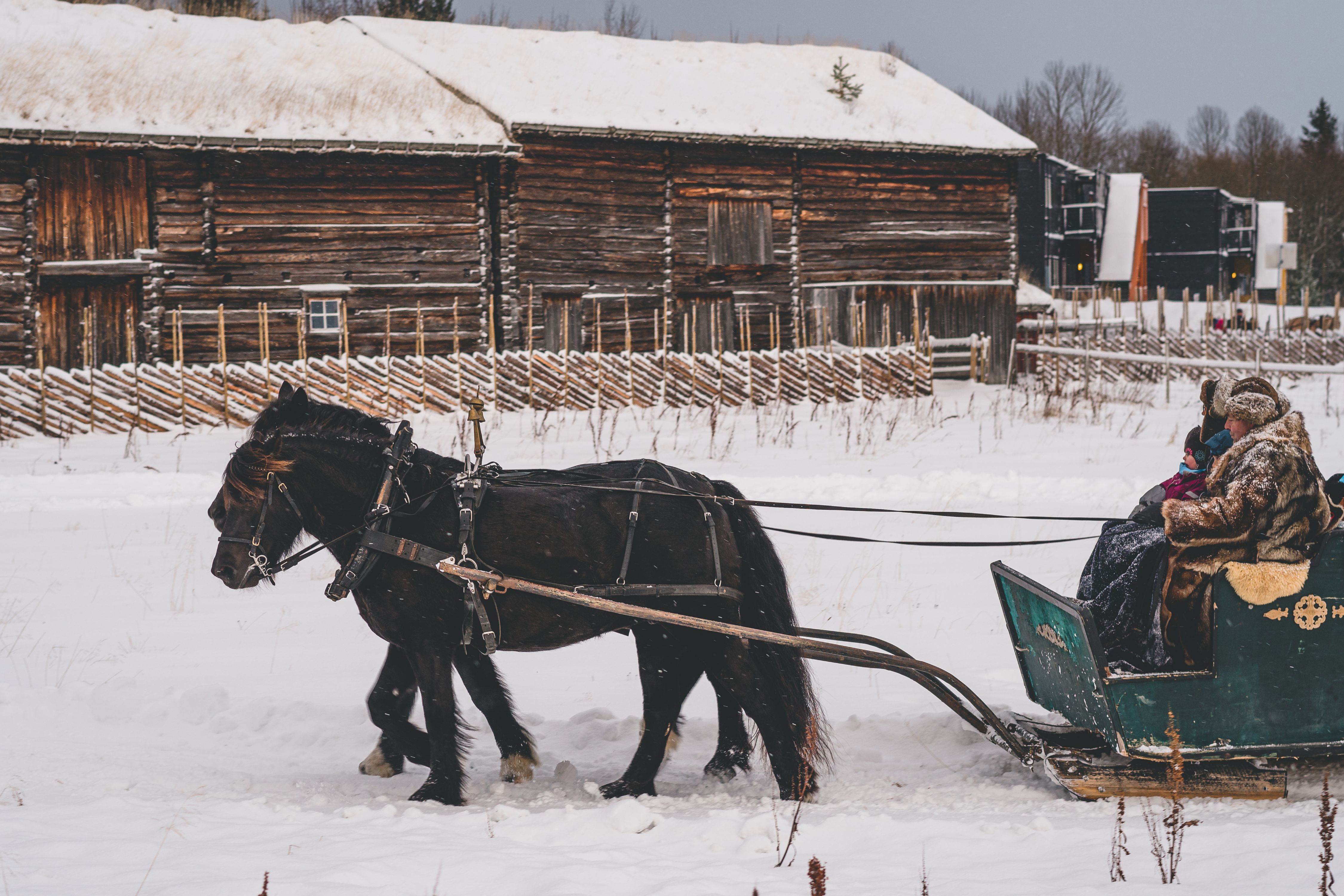 Horse and carriage the open-air museum Sverresborg in Christmas, Trondheim, Trøndelag, Norway.