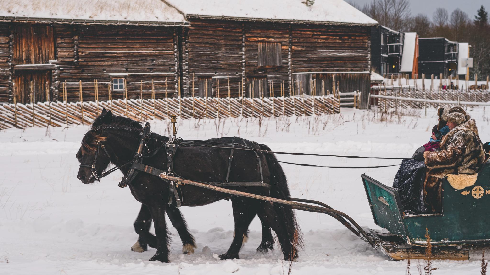 Horse and carriage the open-air museum Sverresborg in Christmas, Trondheim, Trøndelag, Norway.