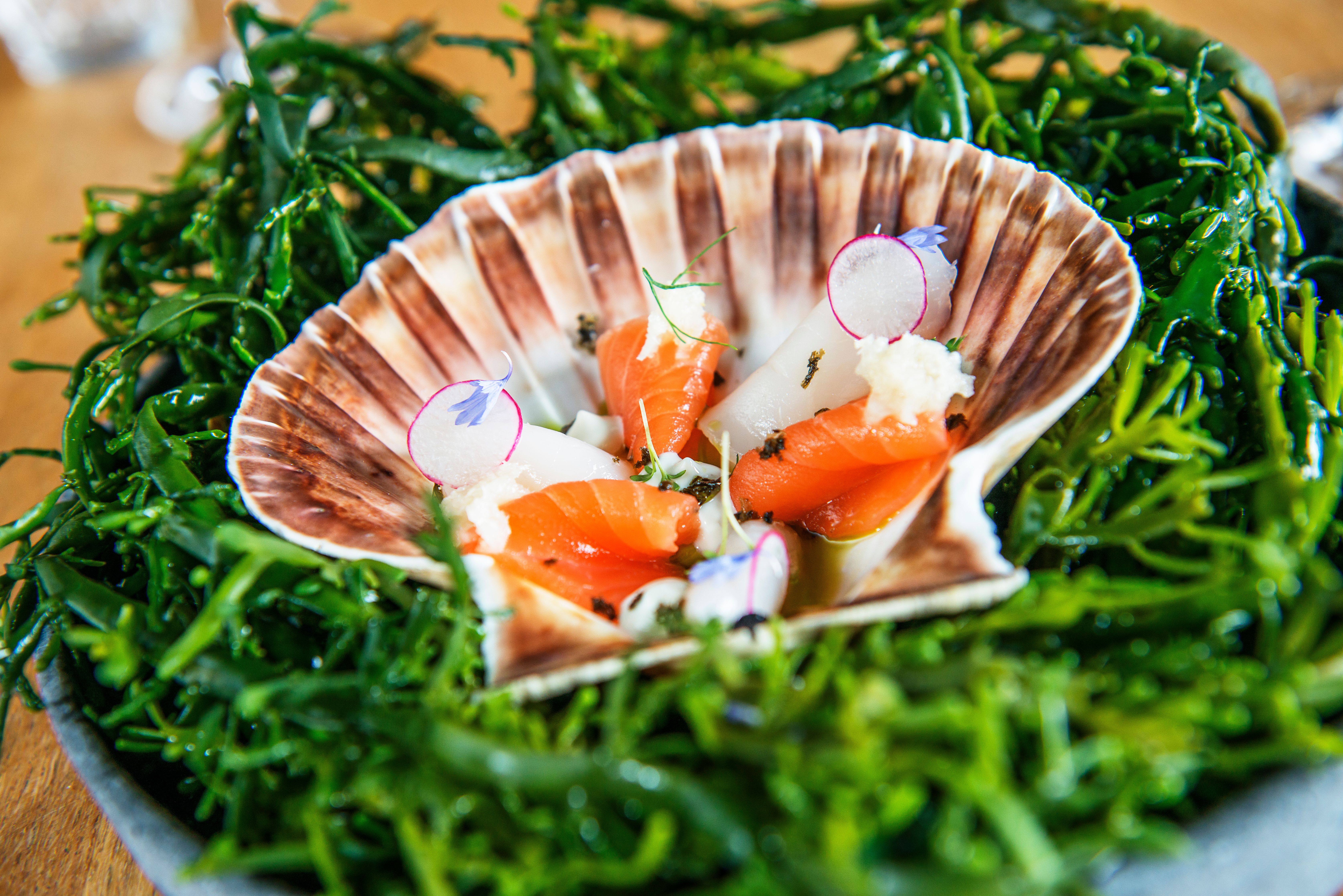 A clamshell with seafood at the restaurant Fish & Cow in Stavanger, Fjord Norway