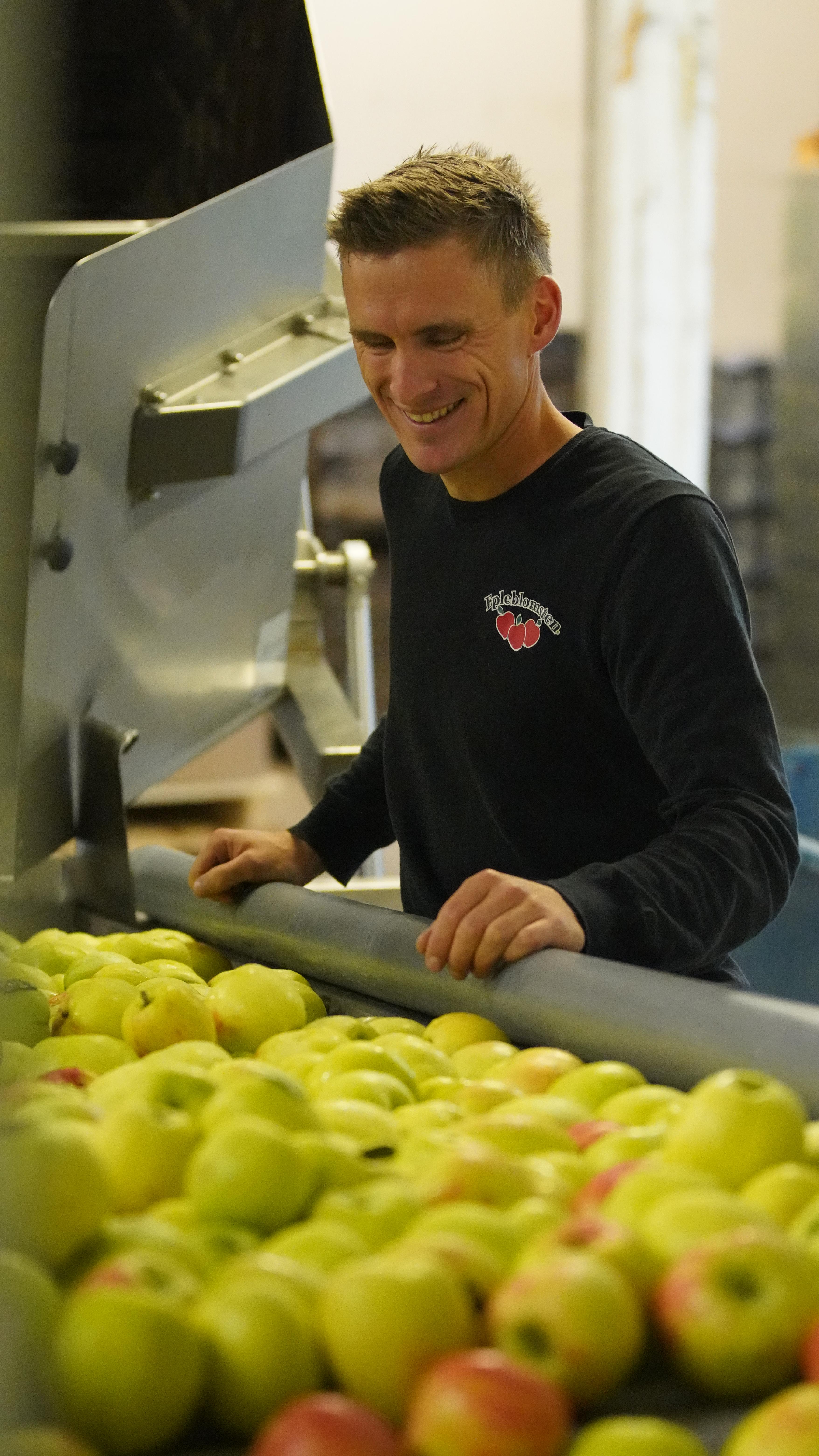 A man is looking at apples at the Epleblomsten fabric
