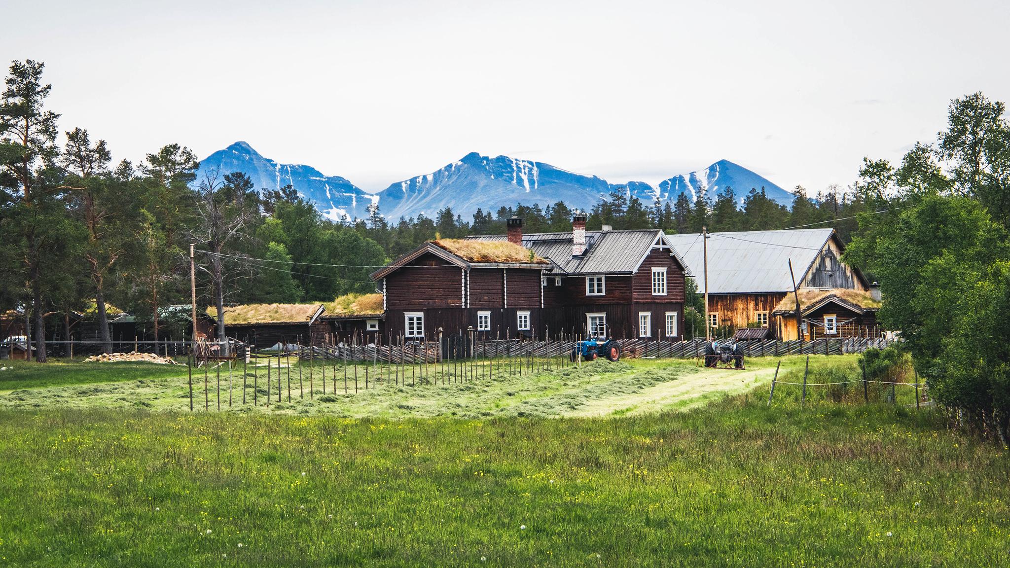 Old wooden farm buildings on a grassy field