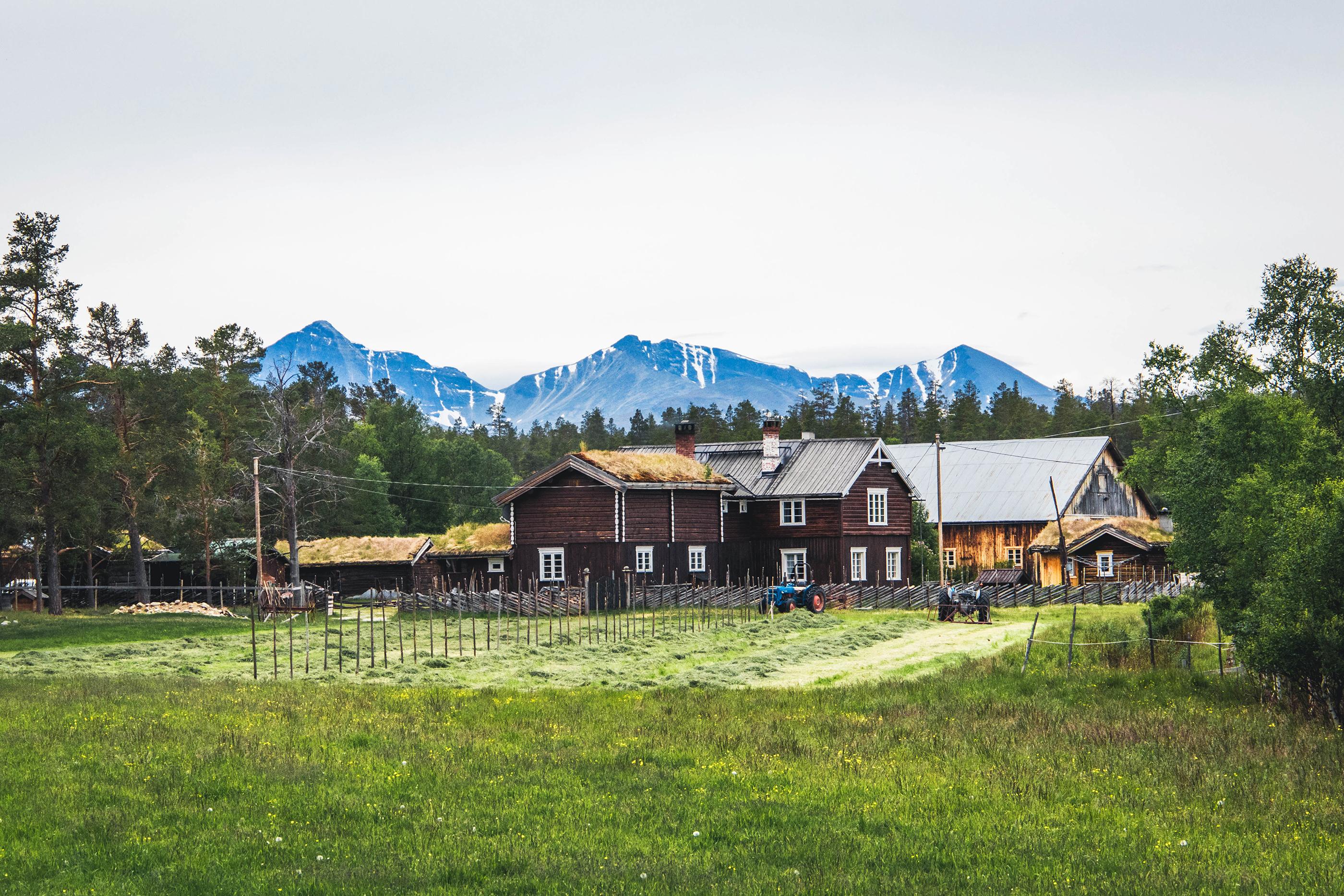 Old wooden farm buildings on a grassy field