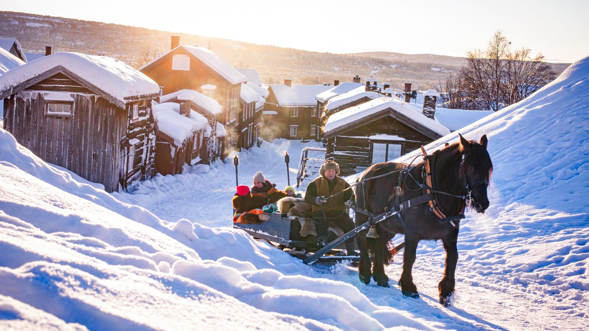 Family on a horse sleigh ride in Røros