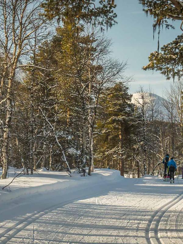 People cross-country skiing in the forest at Bjorli, Lesja, Eastern Norway