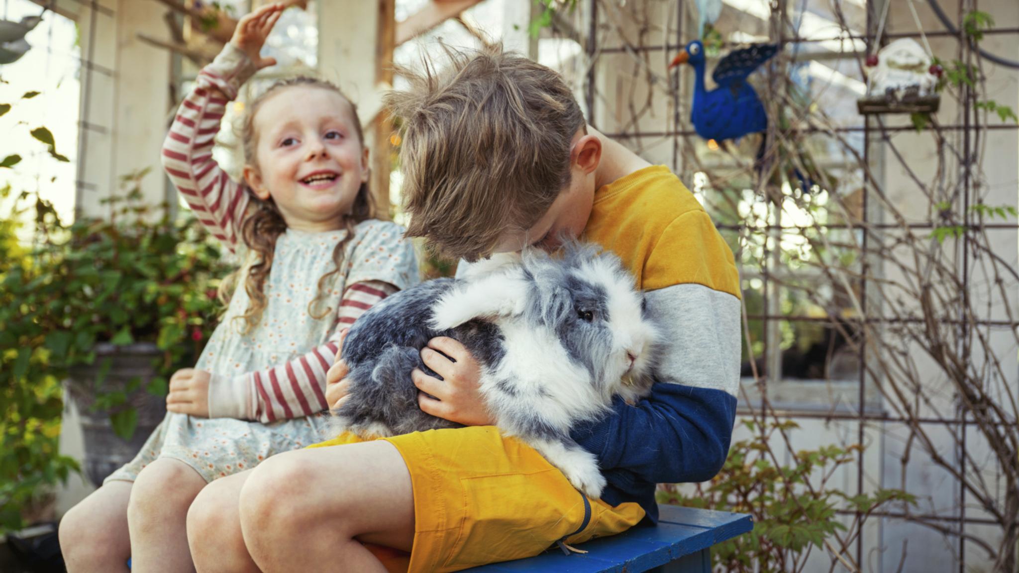 Farmlife at Jørem, Grong