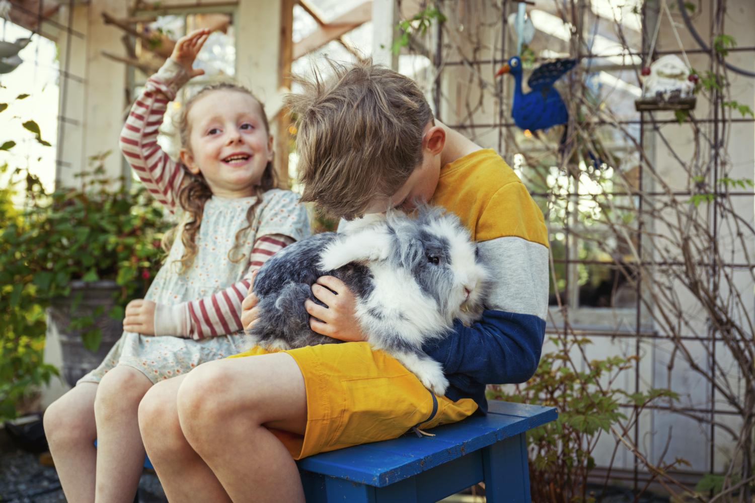 Farmlife at Jørem, Grong