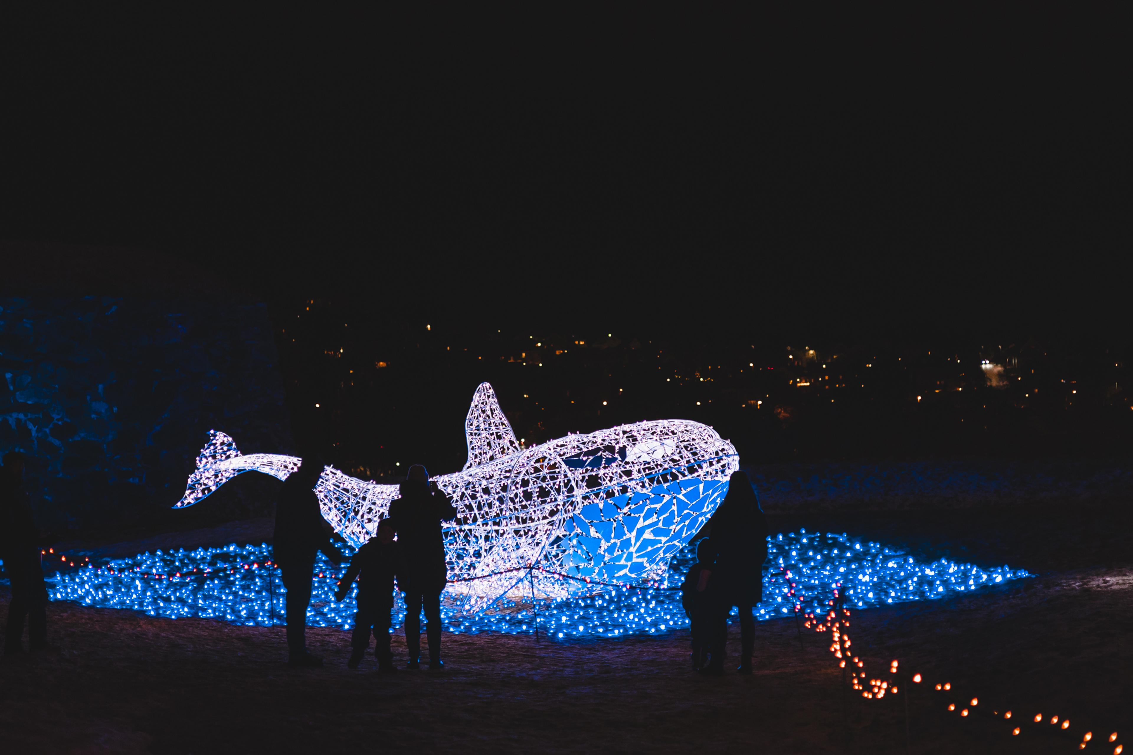 A group of people watching a whale made of lights at Lumagica light festival in Trondheim
