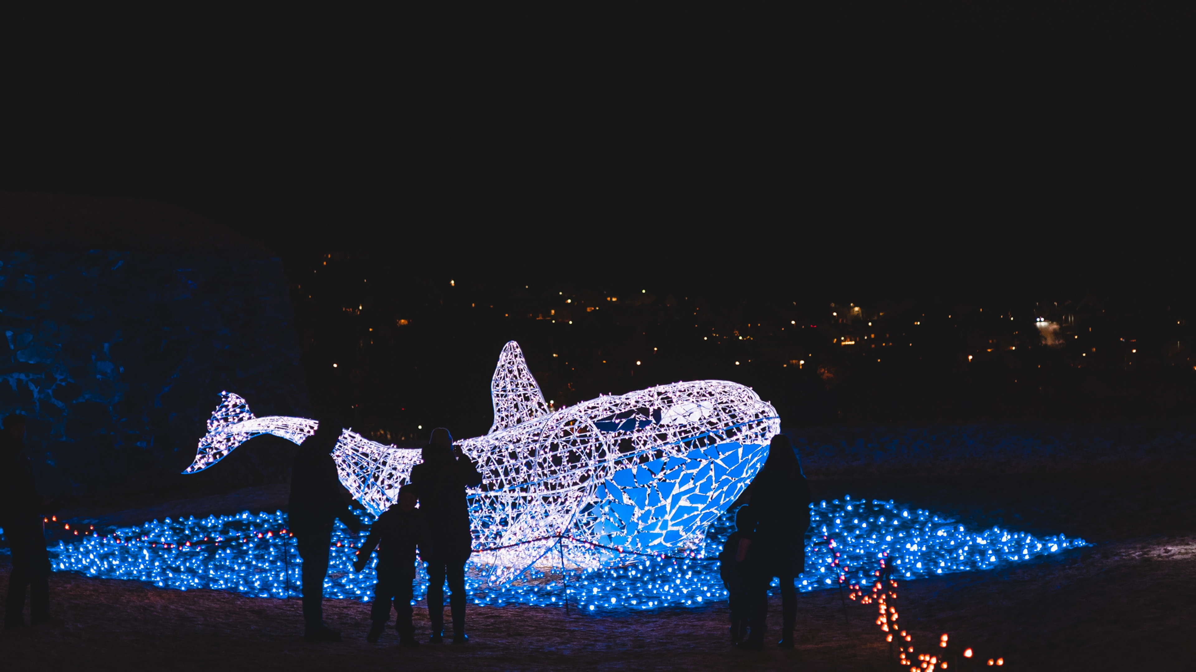A group of people watching a whale made of lights at Lumagica light festival in Trondheim