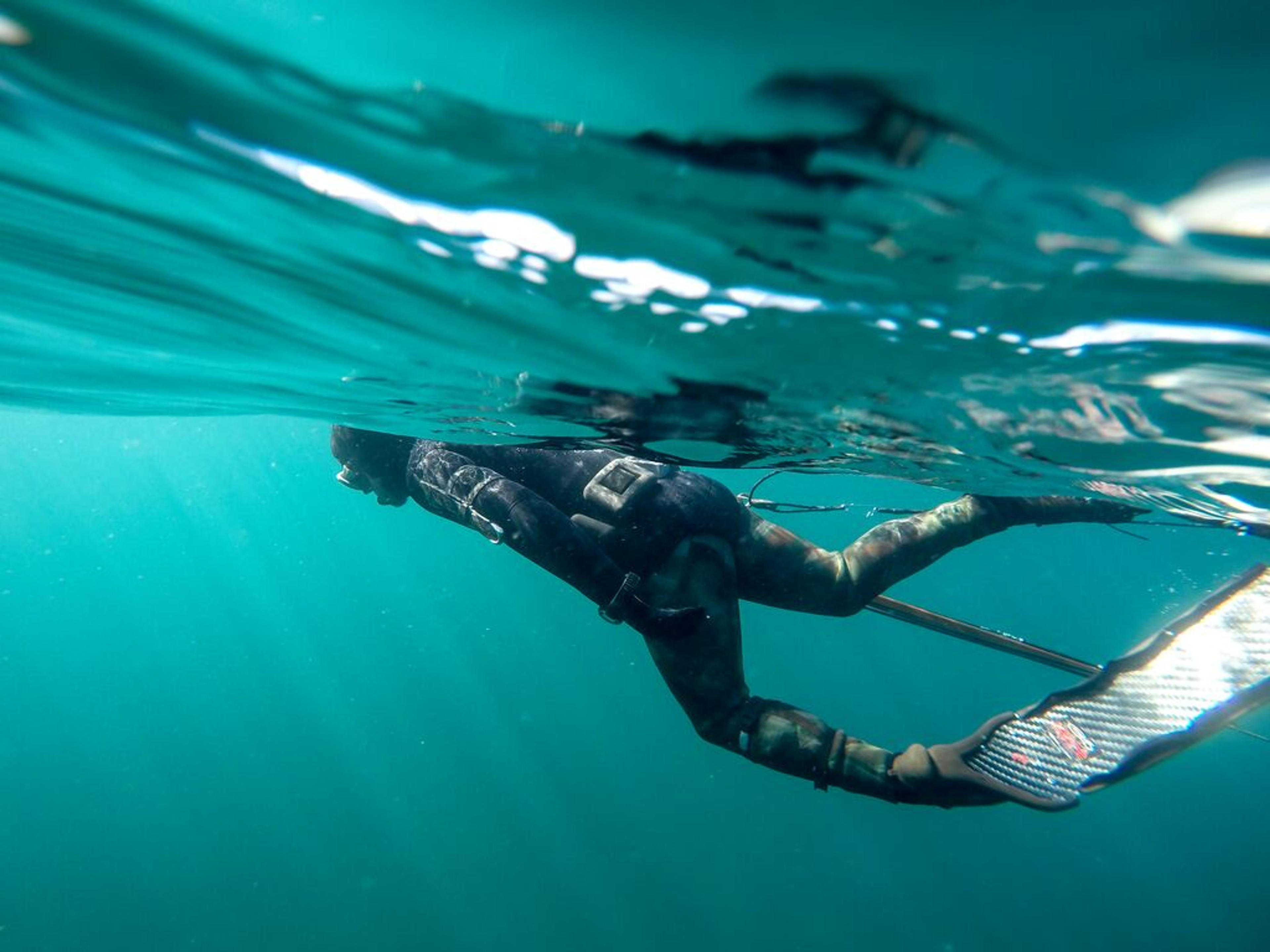 Man scuba diving in the sea