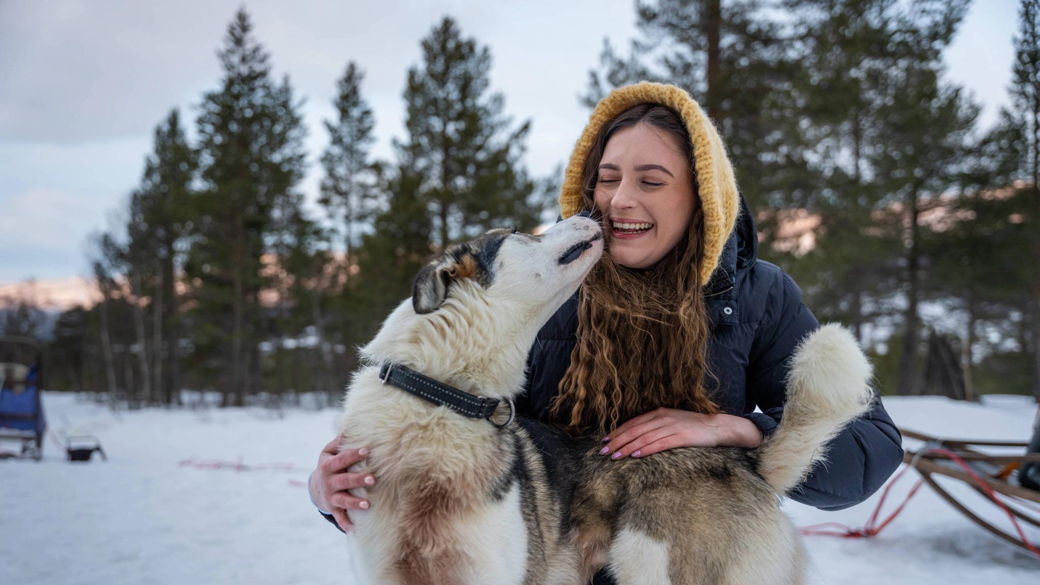 A woman cuddling with a sled dog at Geilo in the winter.