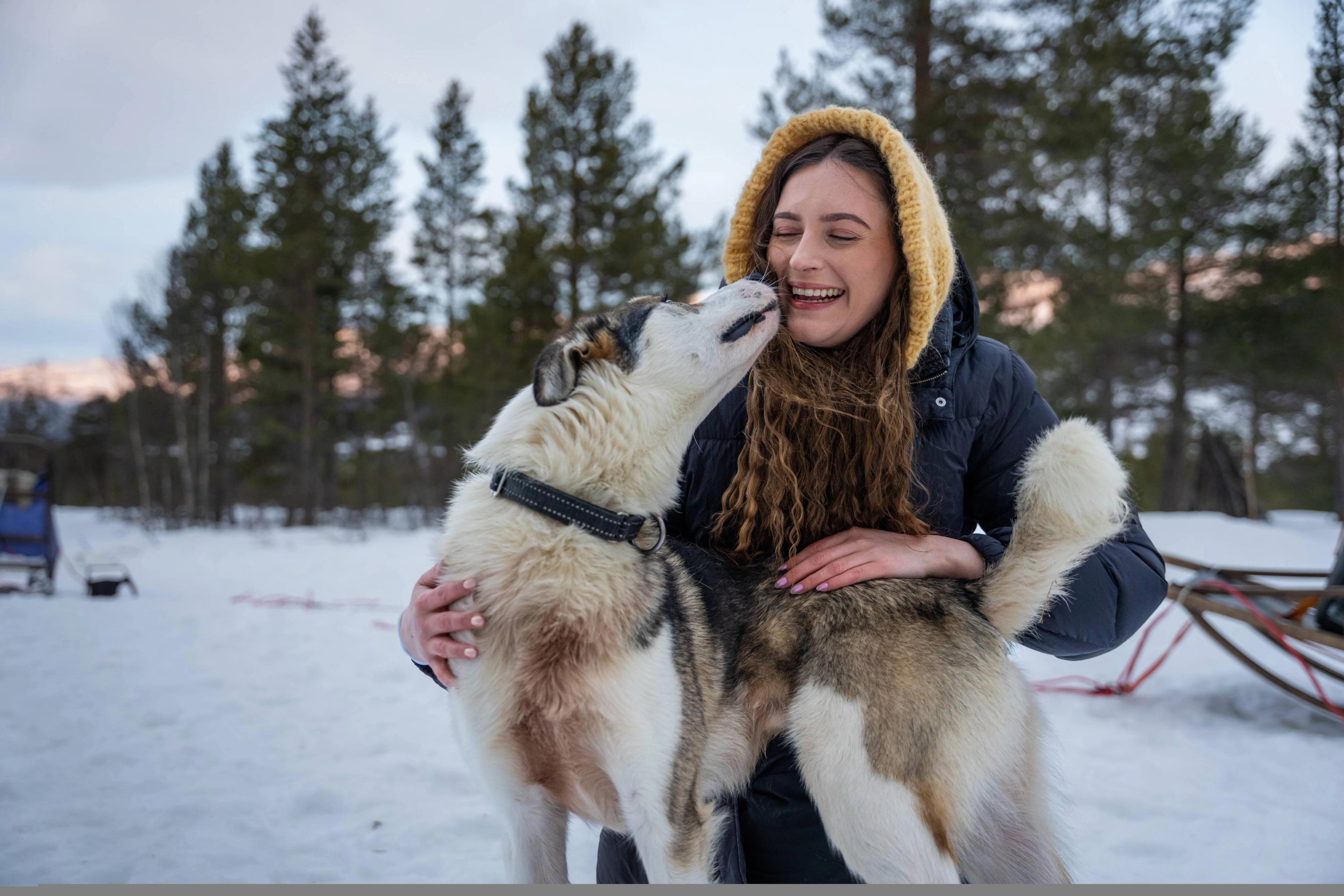 A woman cuddling with a sled dog at Geilo in the winter.