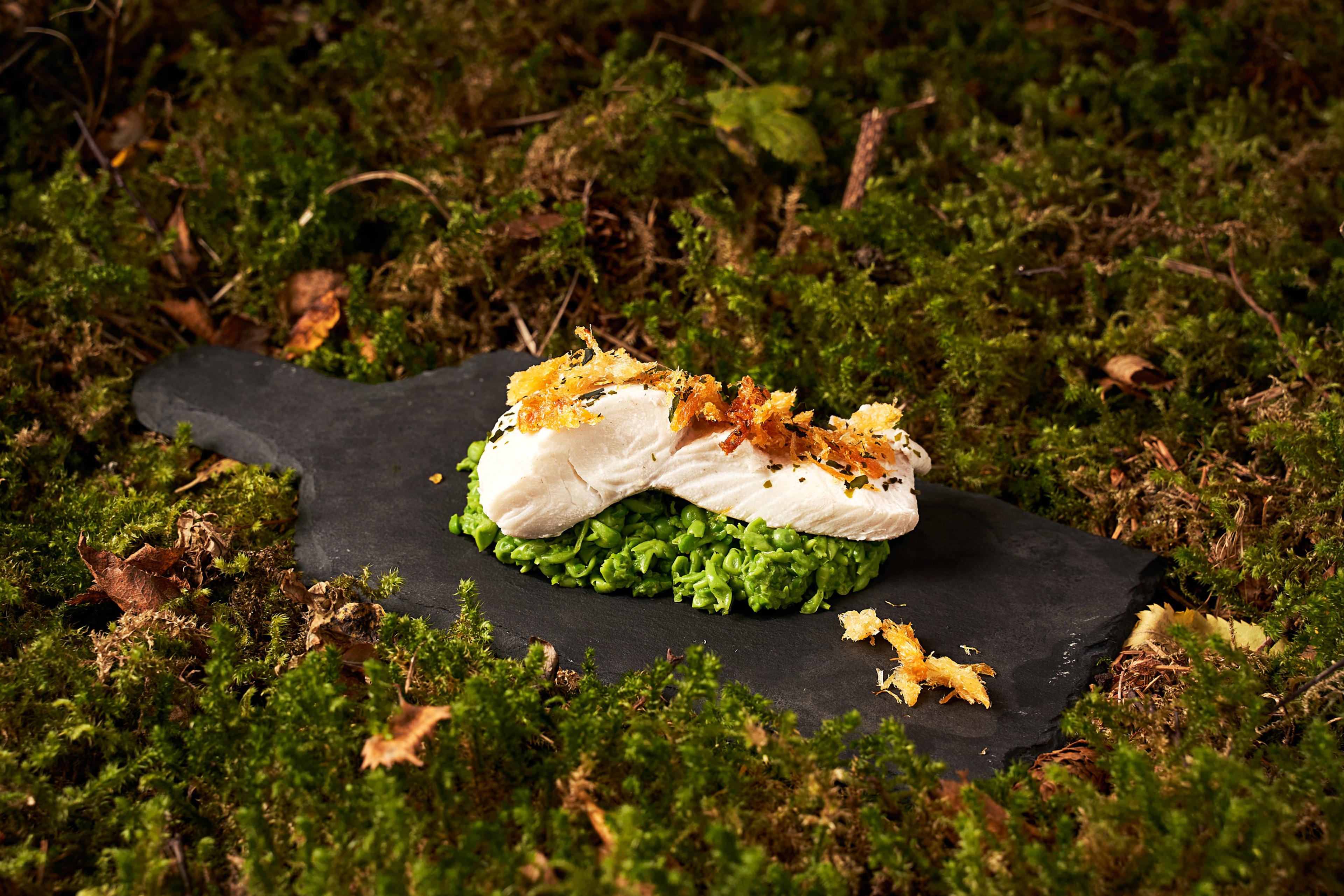Fish from Tuvsjyen outside of Saltstraumen, Northern Norway.