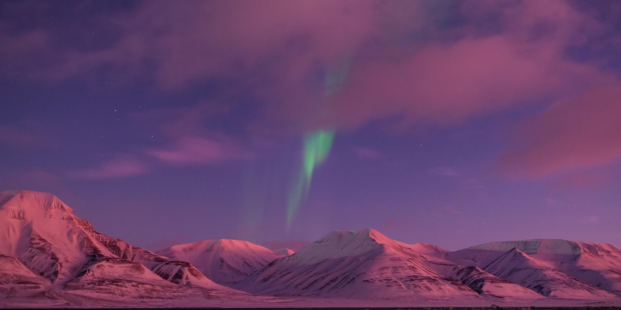 Northern lights seen over the snowy landscape of Svalbard