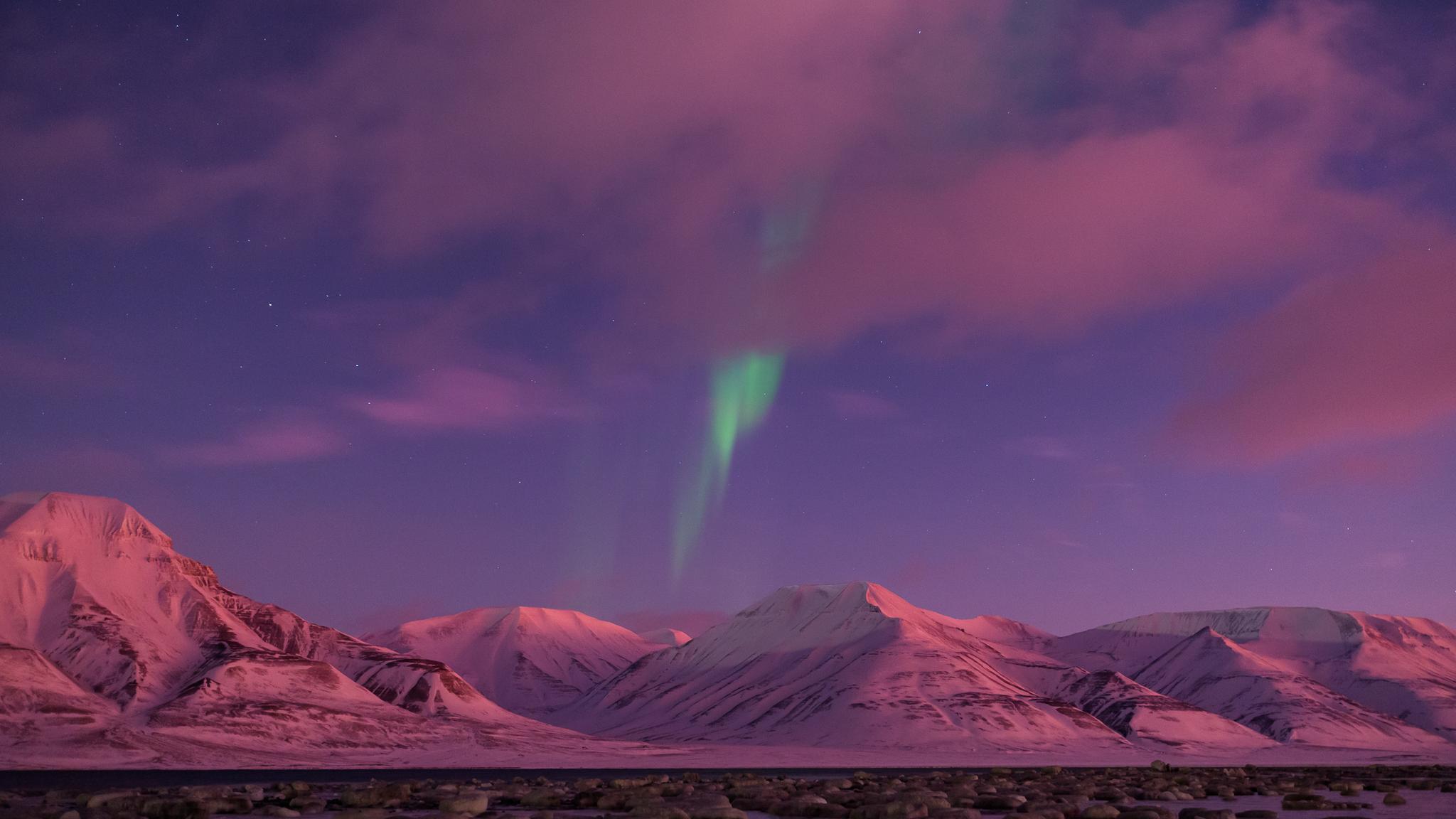 Northern lights seen over the snowy landscape of Svalbard