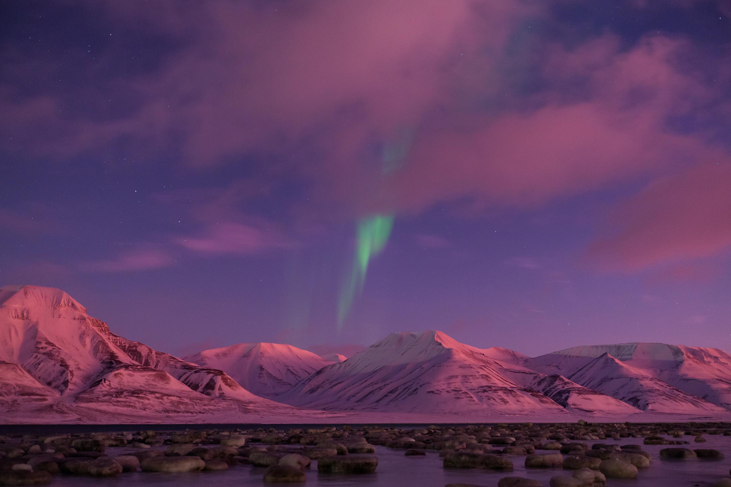 Northern lights seen over the snowy landscape of Svalbard