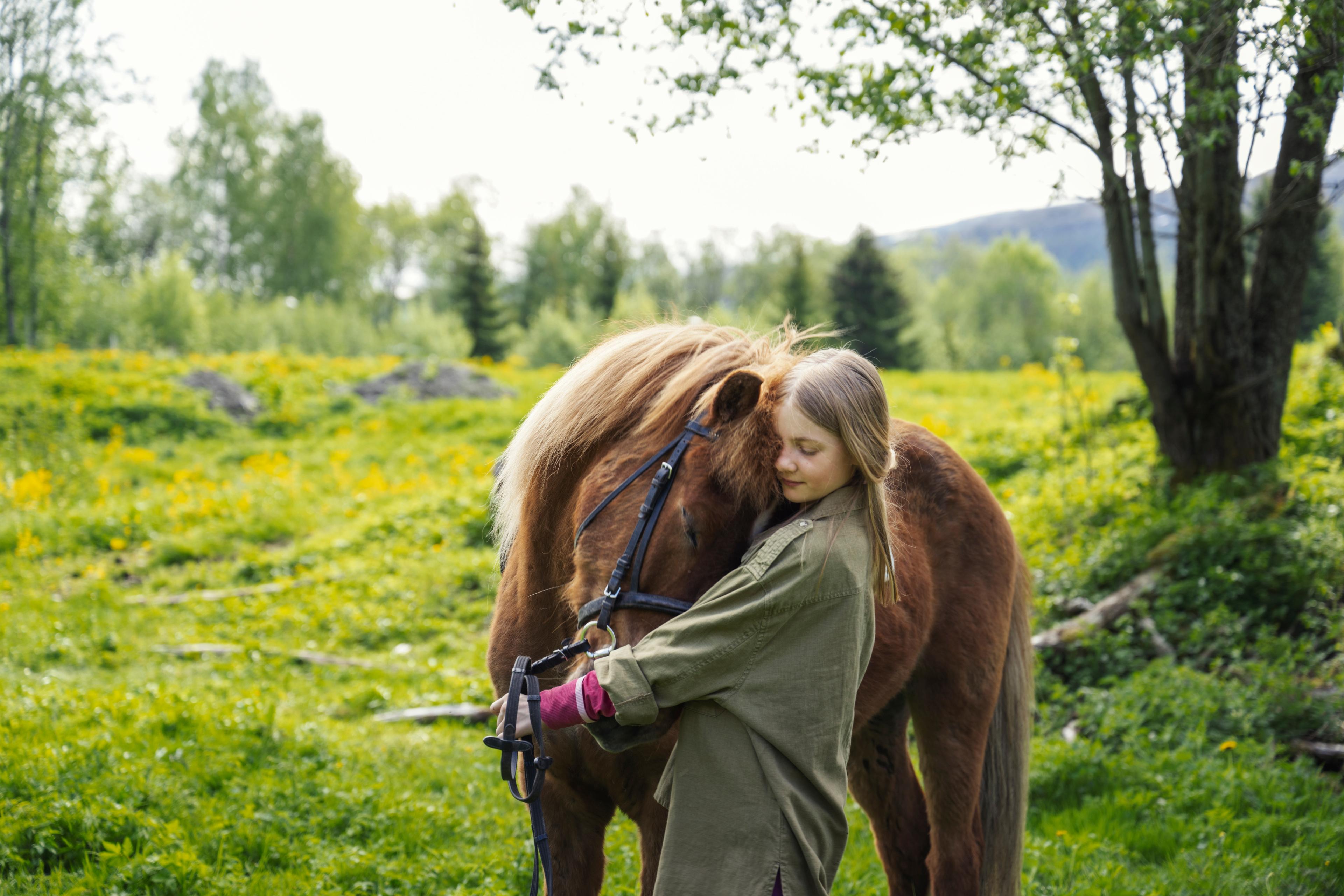Girl hugging a horse at Jørem farm in Grong, Northern Norway