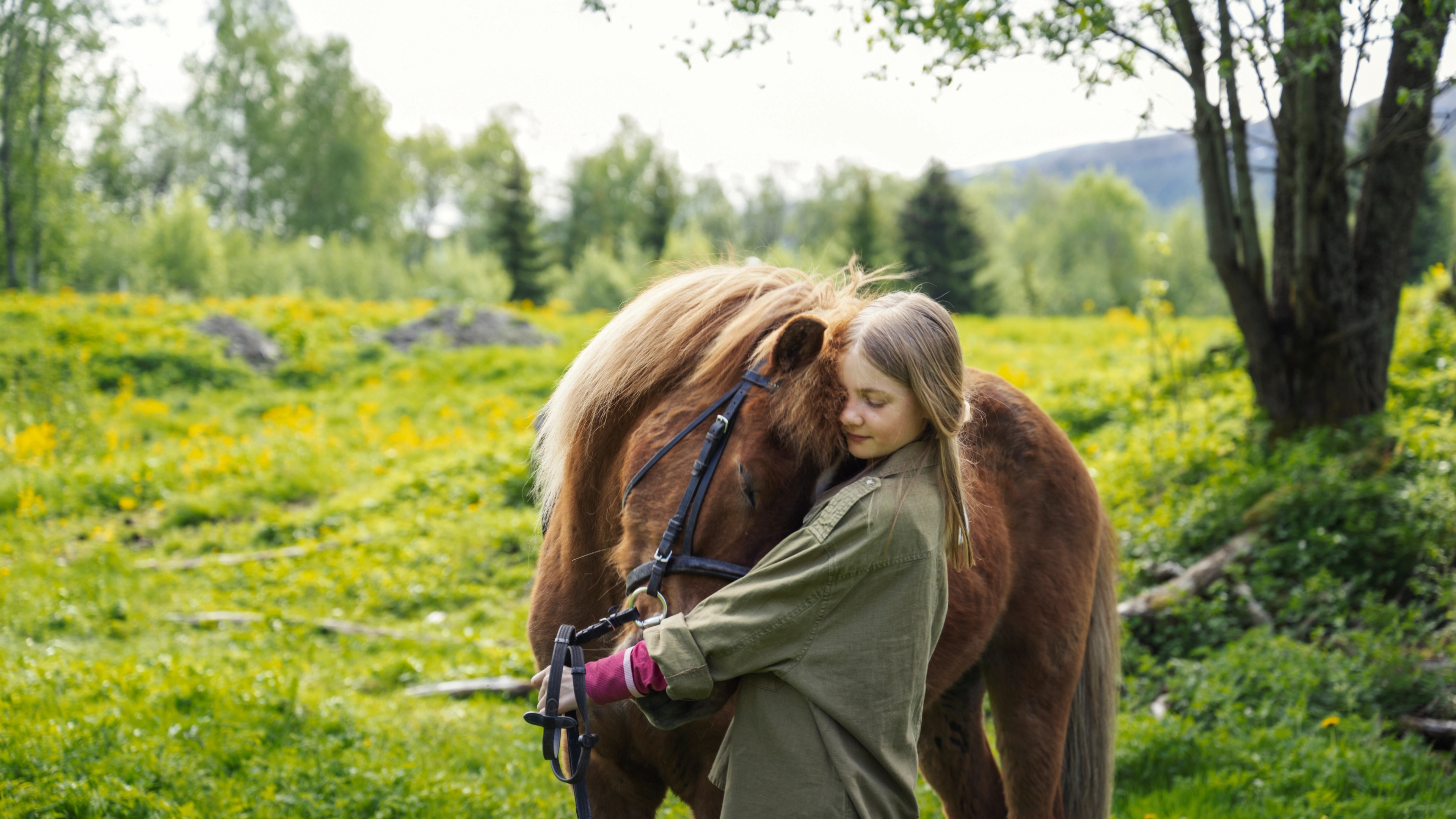 Girl hugging a horse at Jørem farm in Grong, Northern Norway