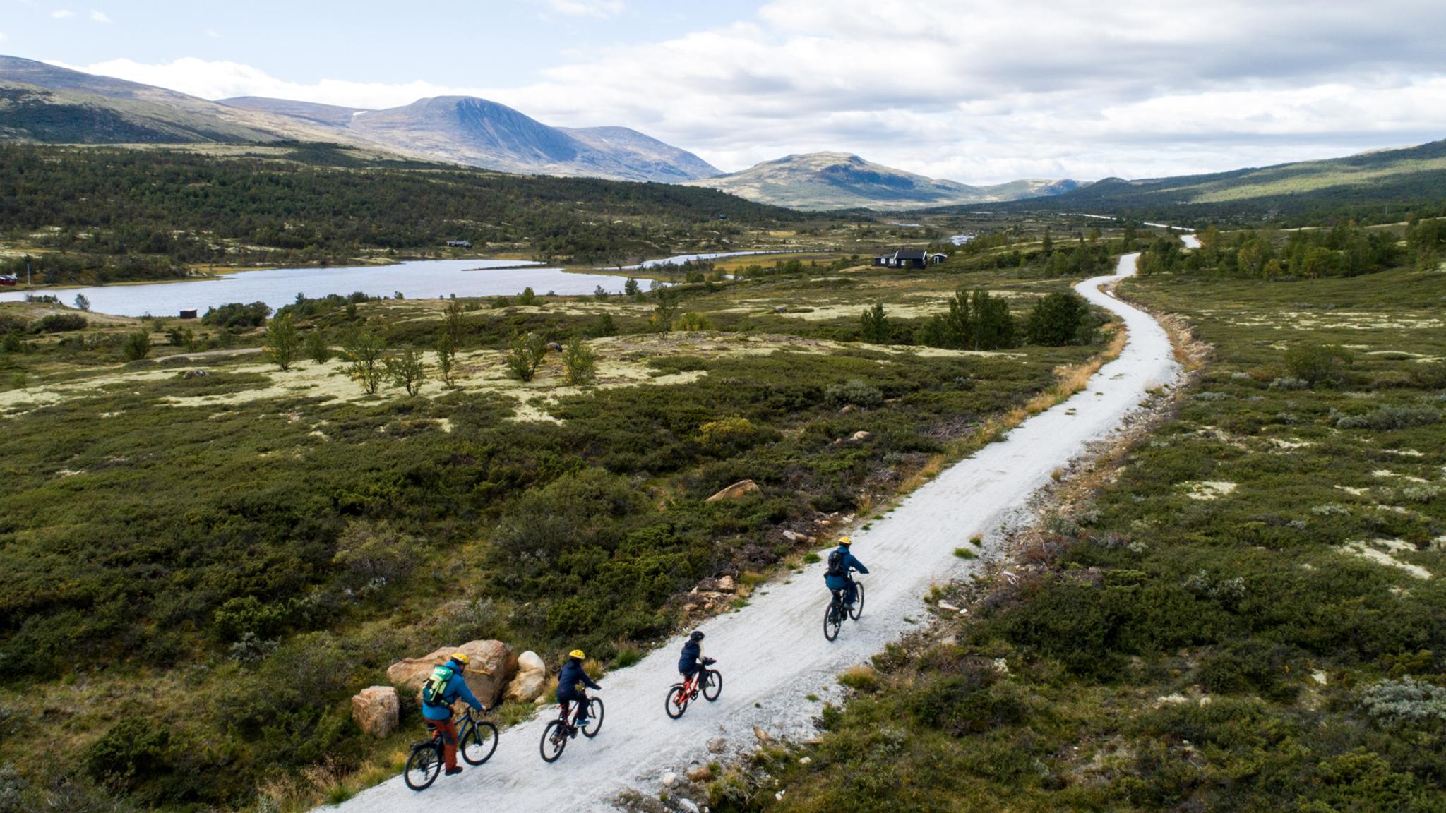 Famiglia in bicicletta su una strada di montagna sui monti Dovrefjell