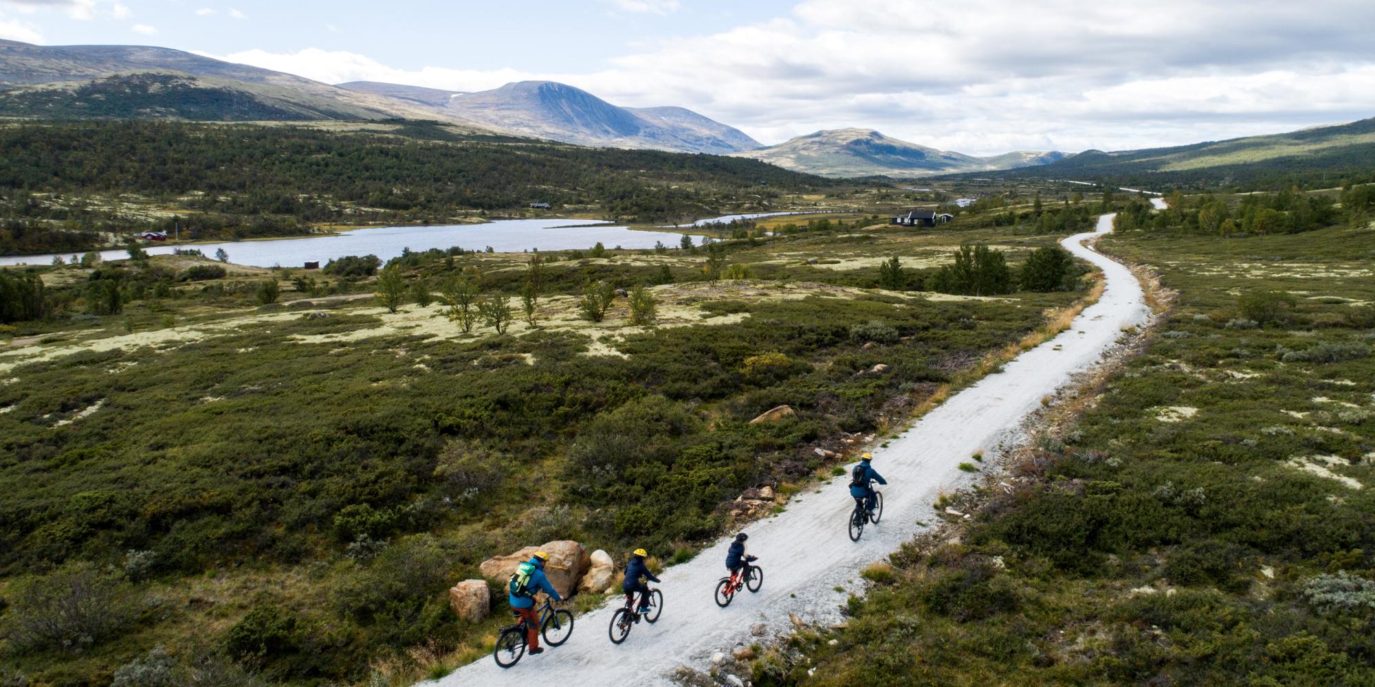 Eine Familie macht eine Fahrradtour im Dovrefjell-Gebirge