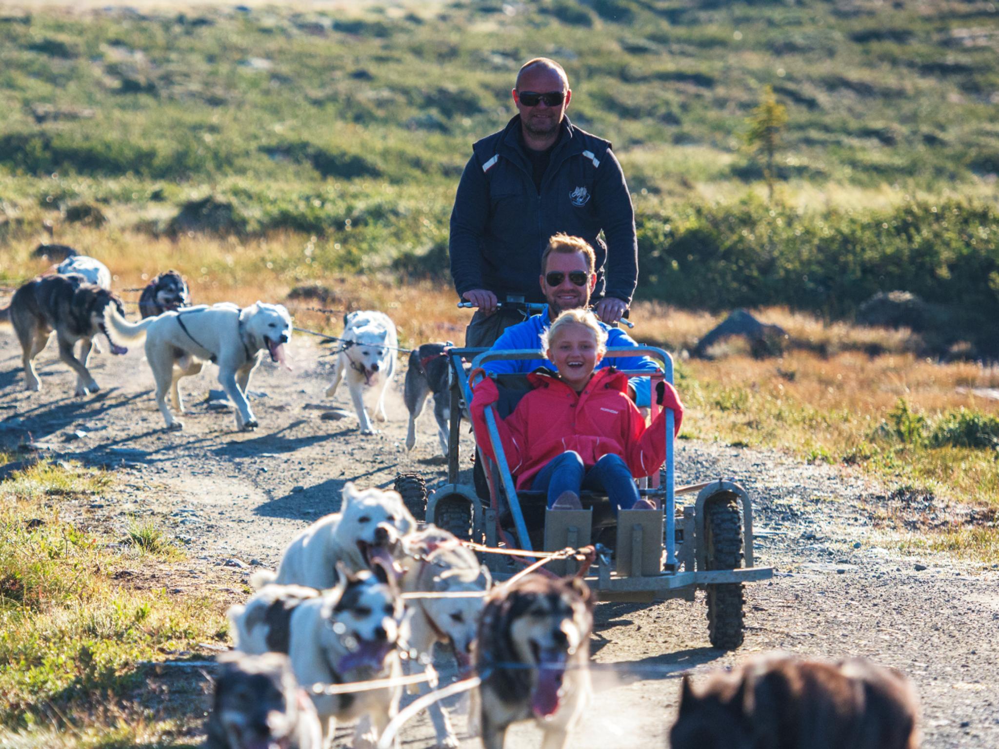 Dog sledding