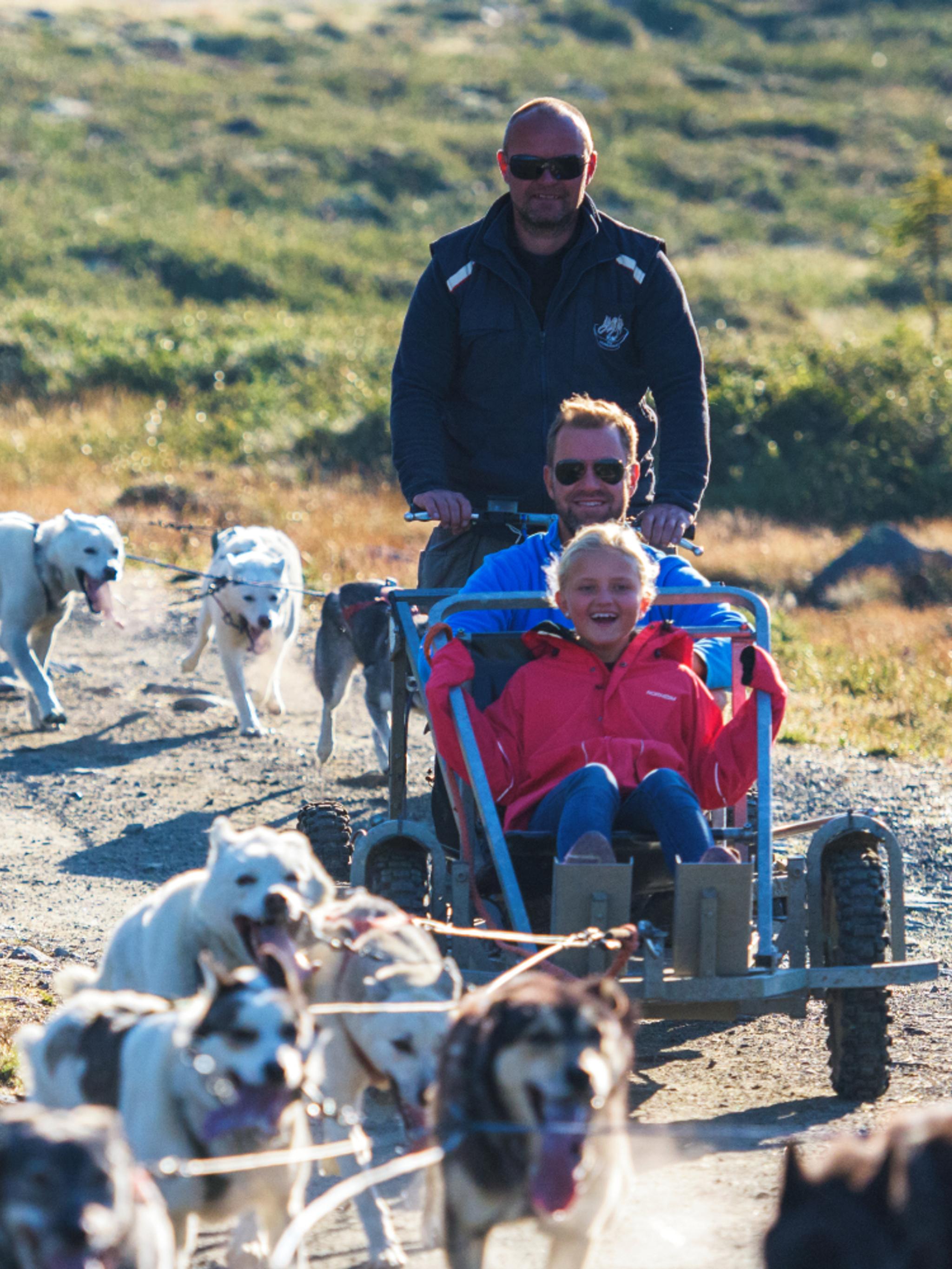 Dog sledding