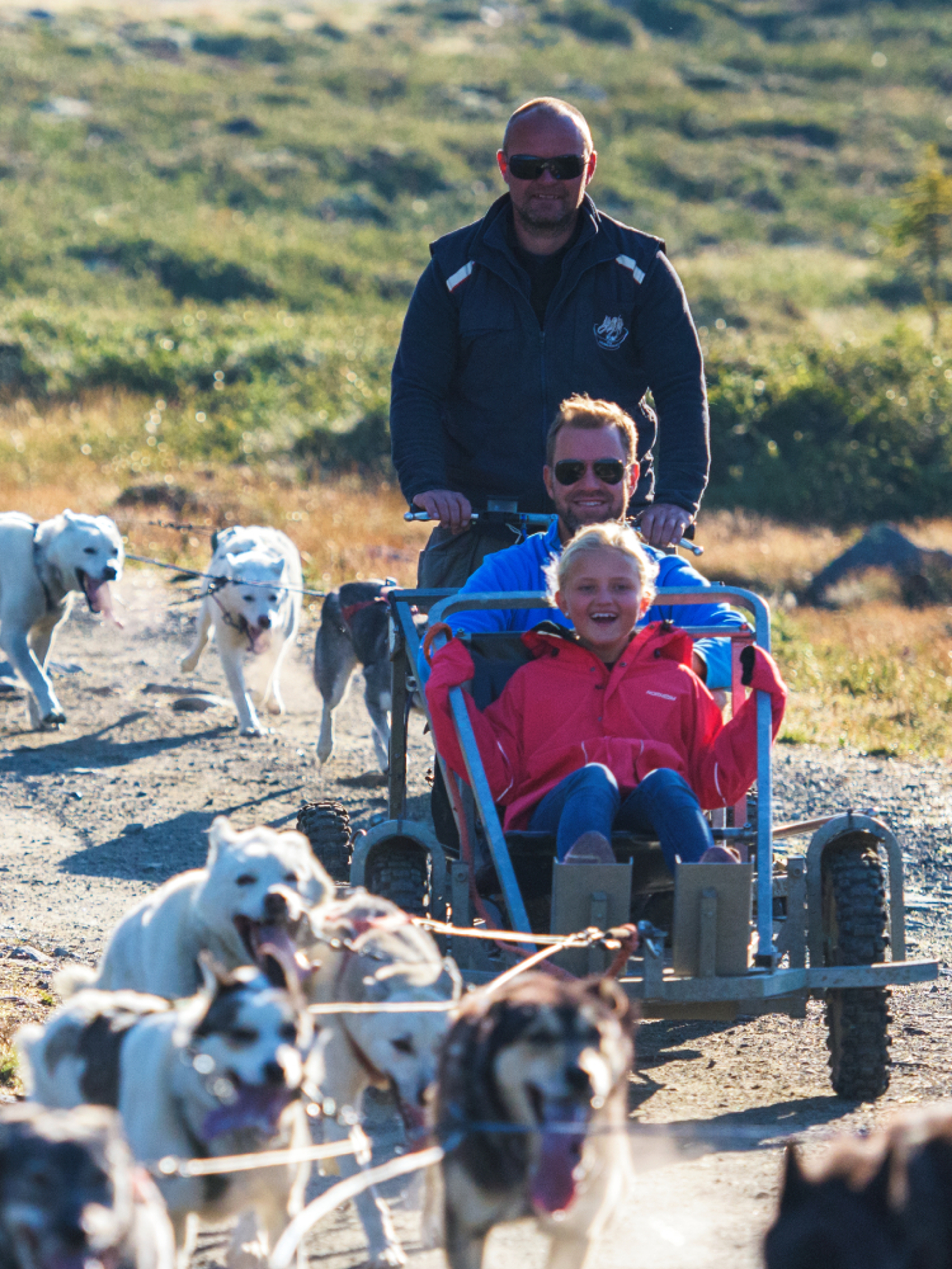 Dog sledding
