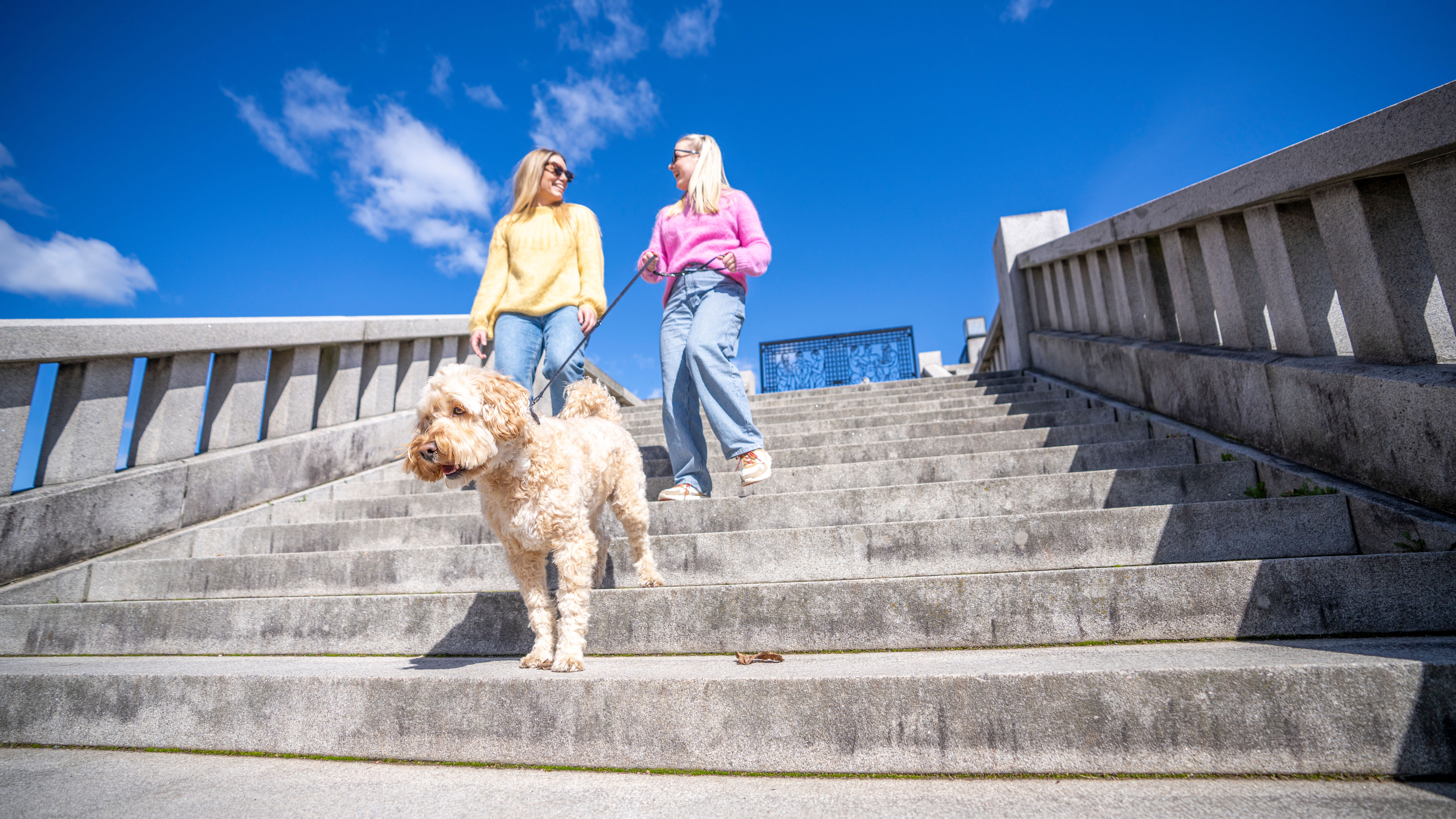 Friends with dog on a walk in Vigelandsparken in Frogner in Oslo, Eastern Norway