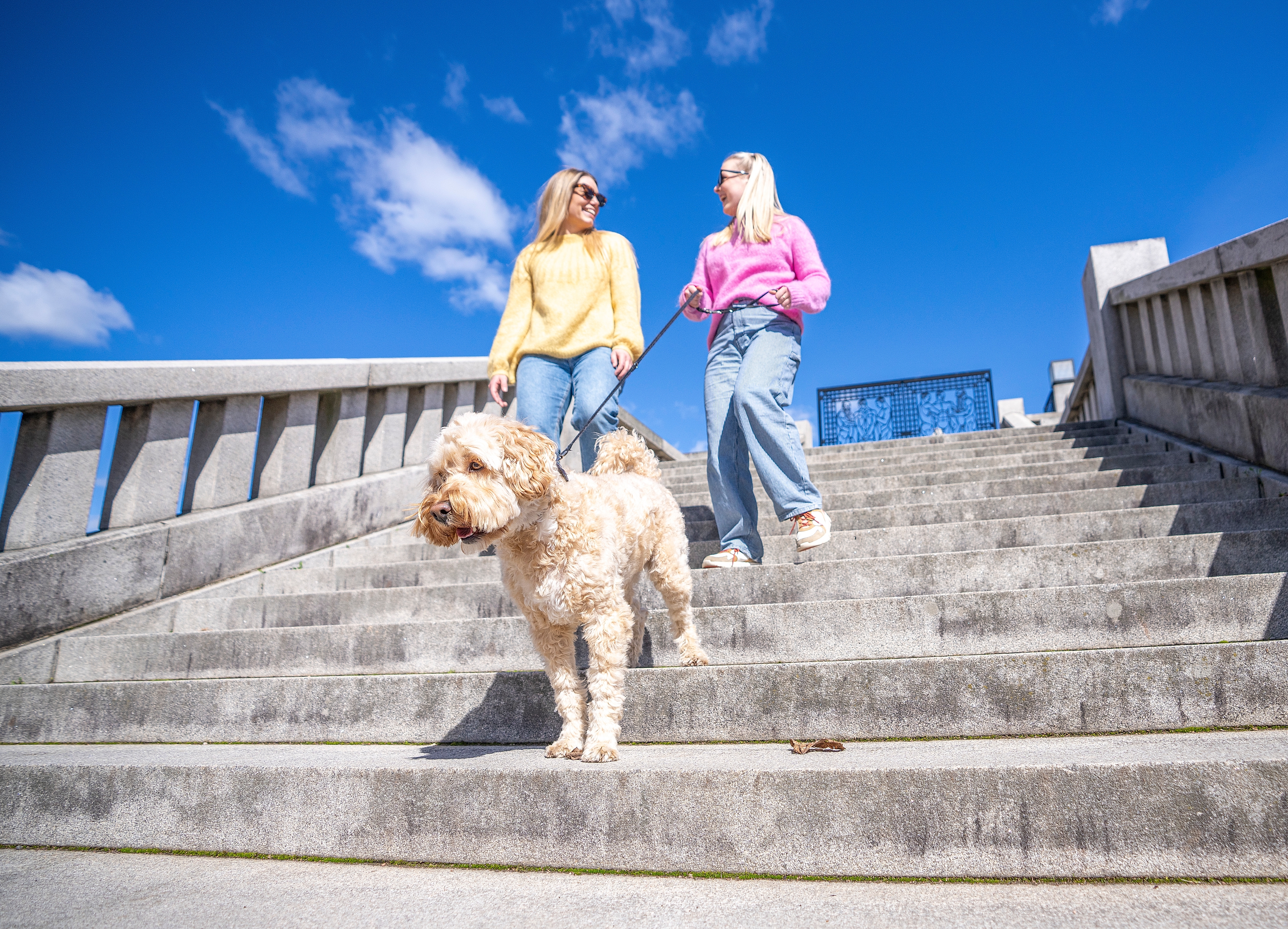 Friends with dog on a walk in Vigelandsparken in Frogner in Oslo, Eastern Norway
