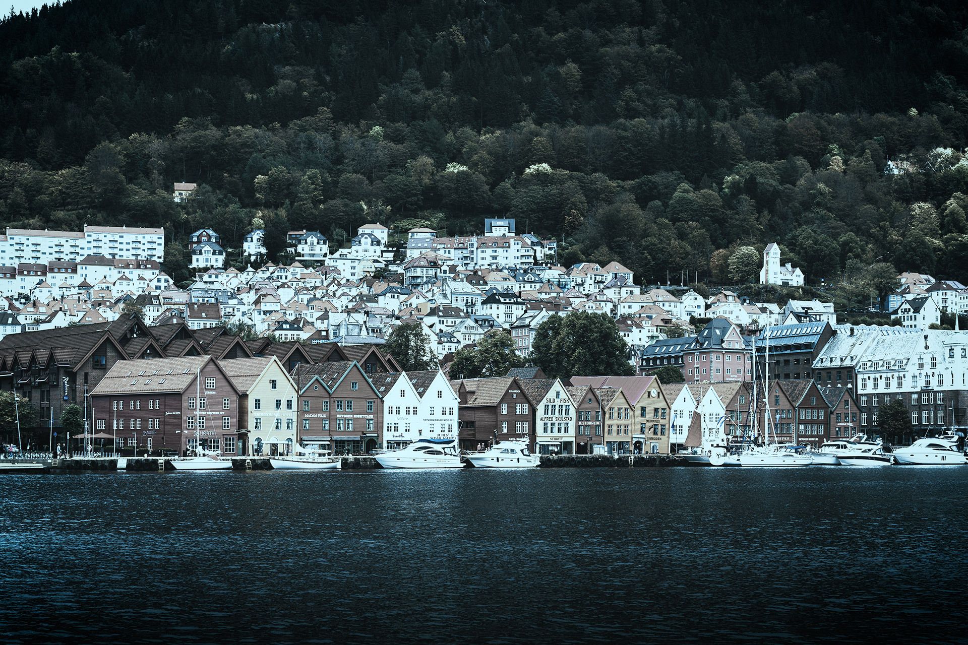 Bergen by the harbour