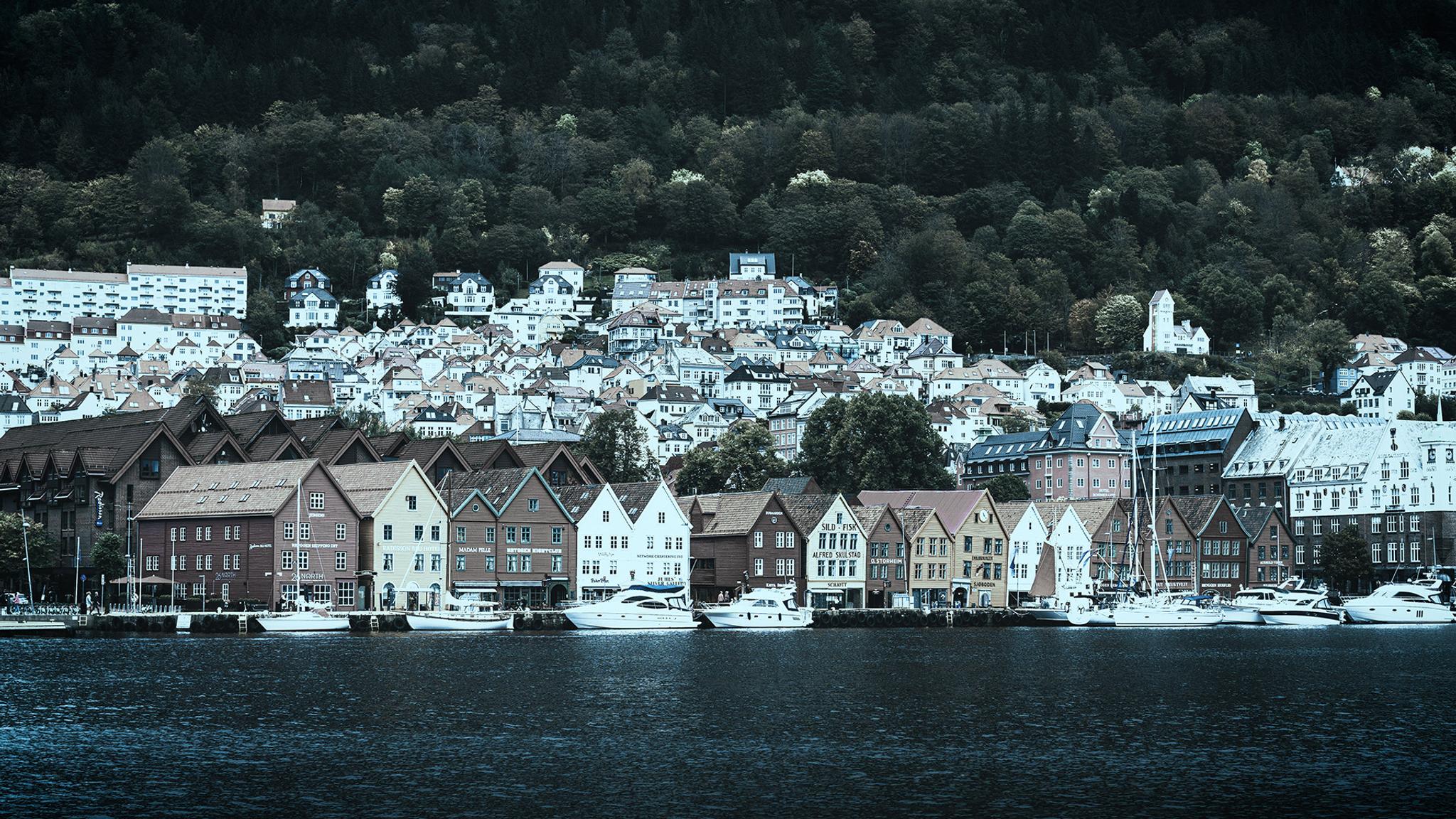 Bergen by the harbour