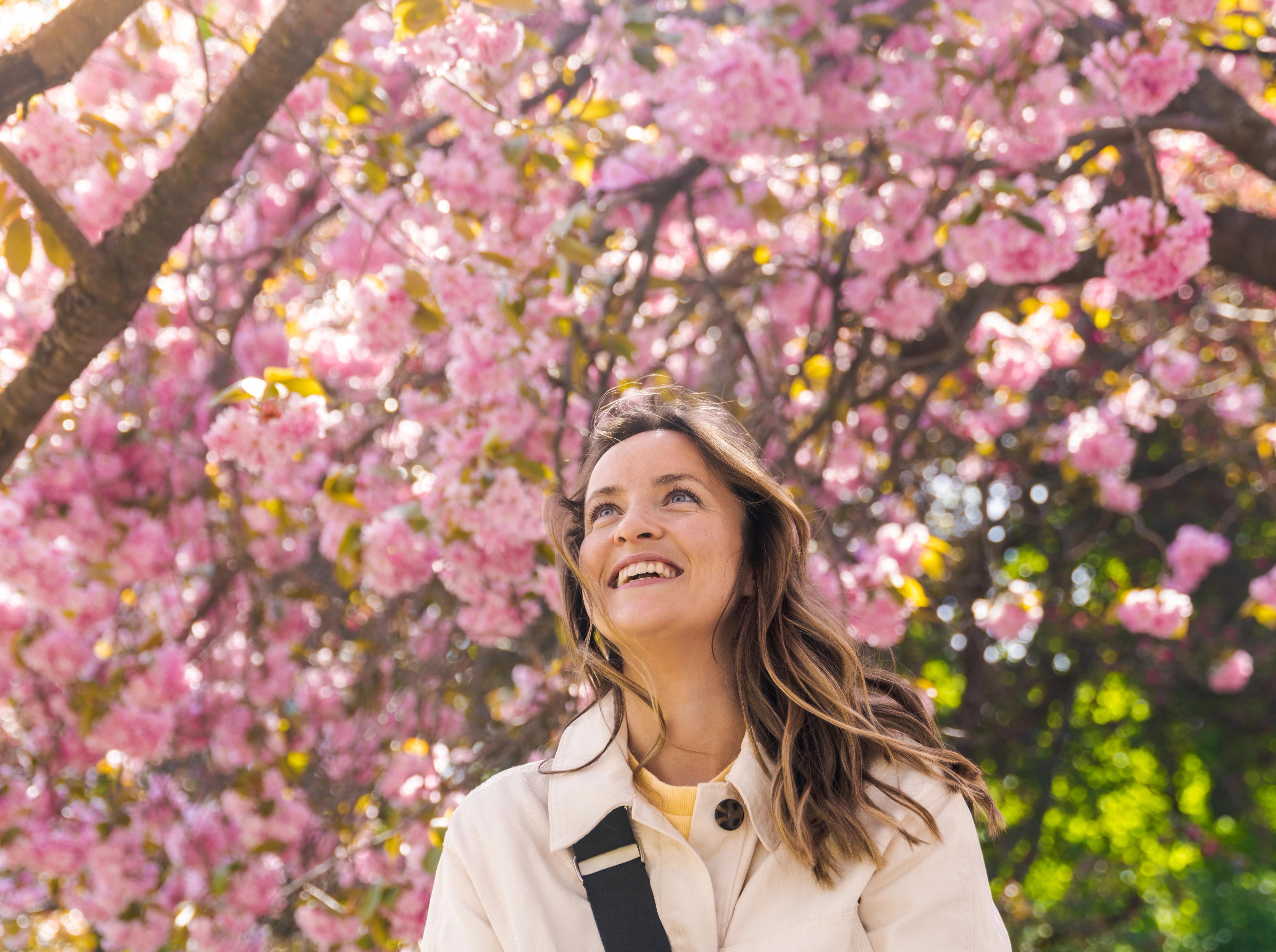 Woman under a cherry tree in Oslo, Eastern Norway