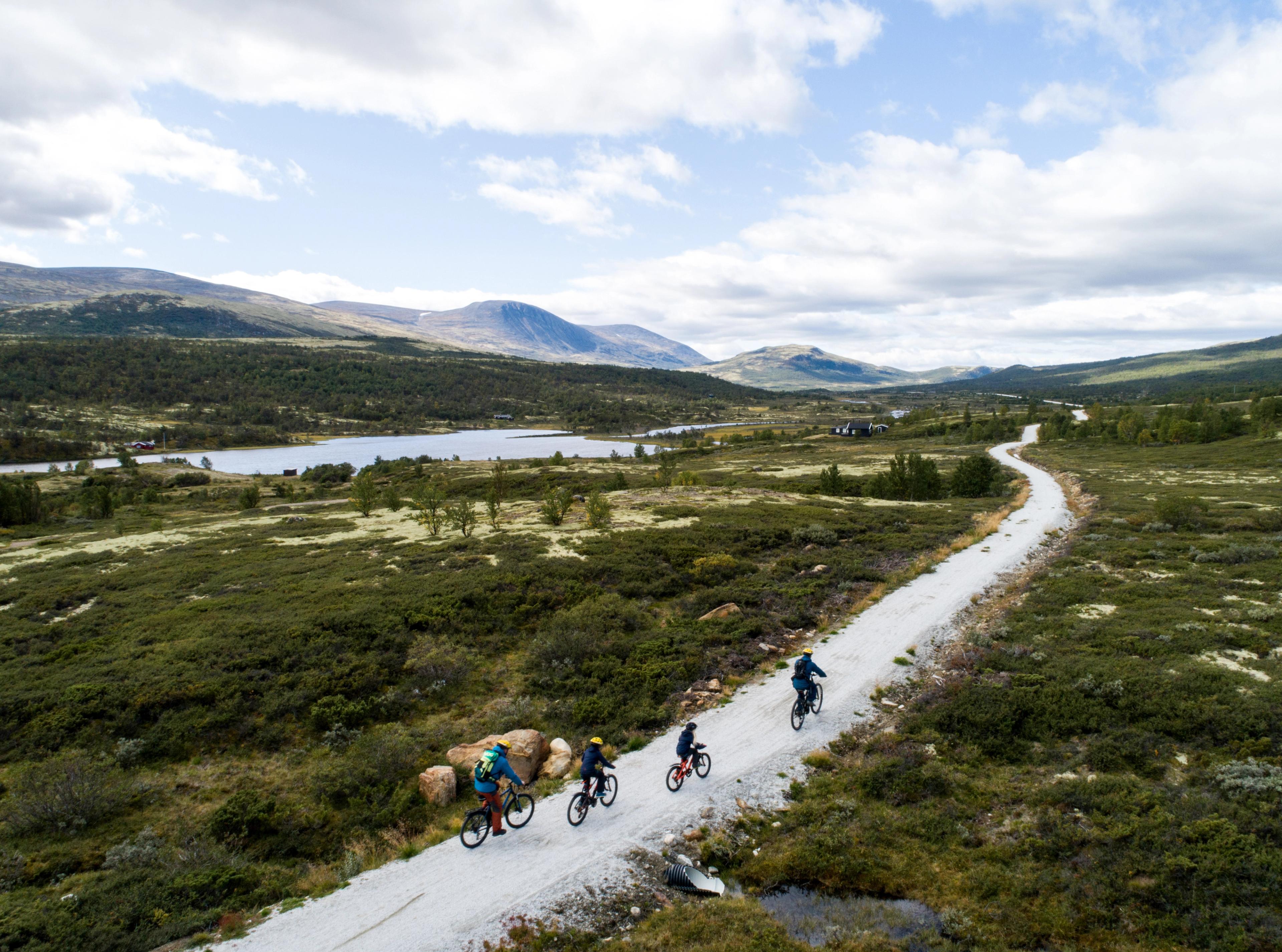 A family cycling on a mountain road in the Dovrefjell mountains, Eastern Norway