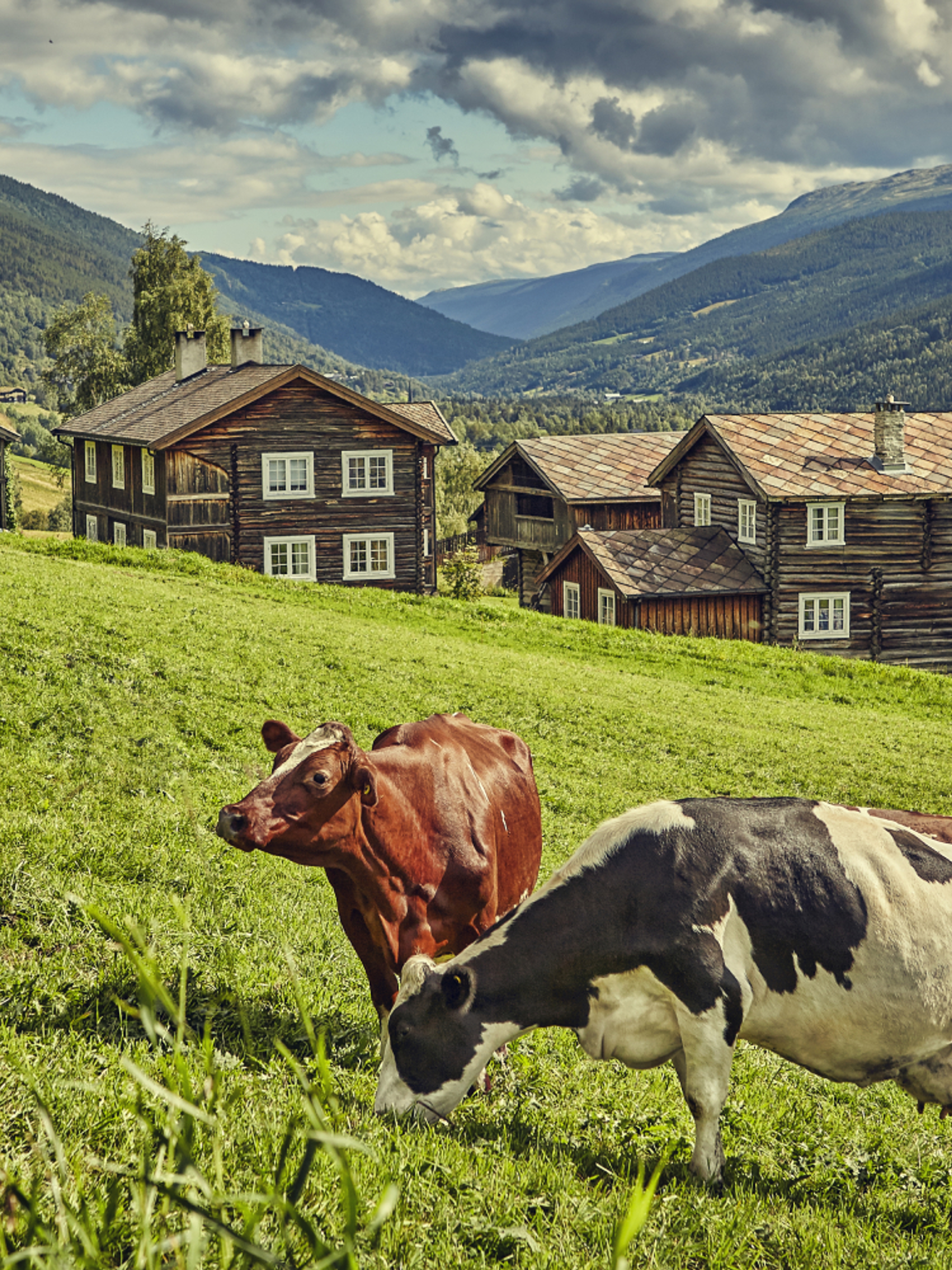 The mountain farm Heidal Ysteri in the Gudbrandsdalen Valley of Eastern Norway