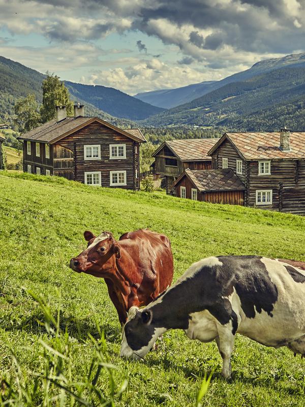 The mountain farm Heidal Ysteri in the Gudbrandsdalen Valley of Eastern Norway