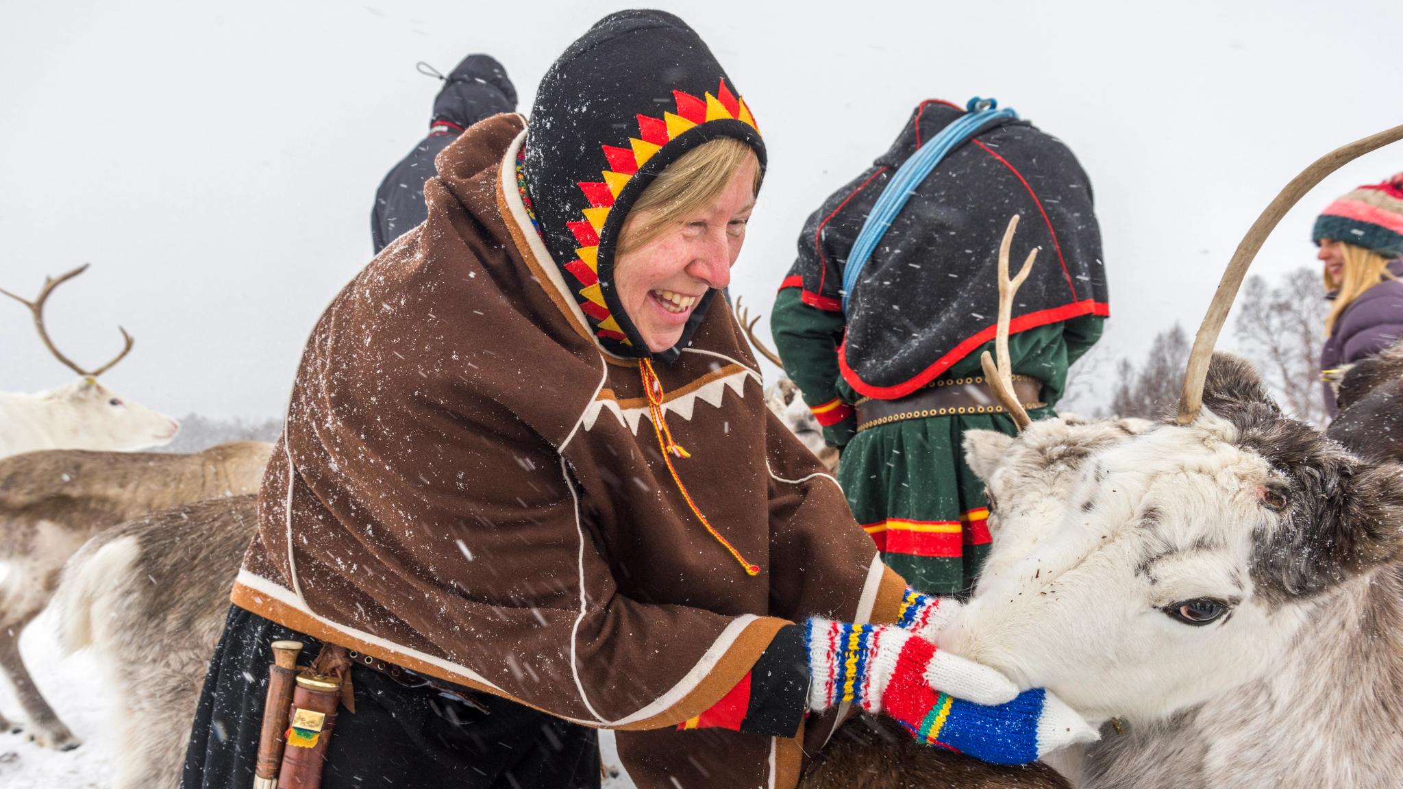 Sami woman petting a reindeer in Vesterålen, Northern Norway