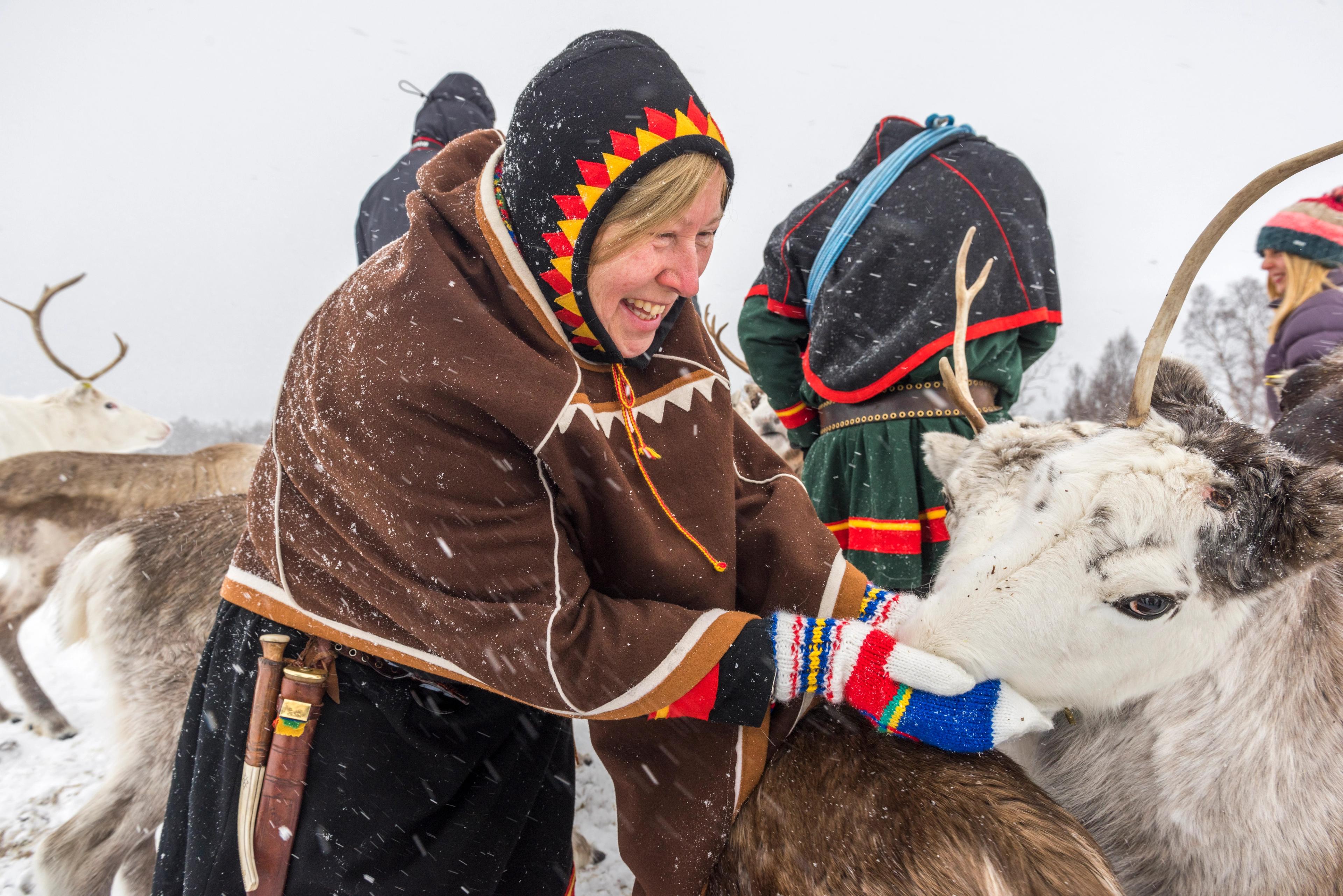 Sami woman petting a reindeer in Vesterålen, Northern Norway