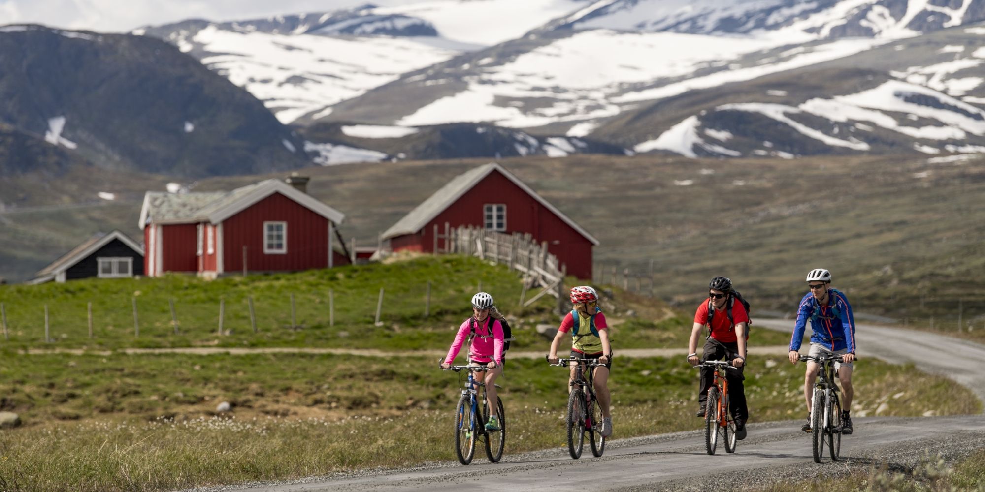 A family tour cycling on Mjølkevegen from Valdres to Gol, Eastern Norway