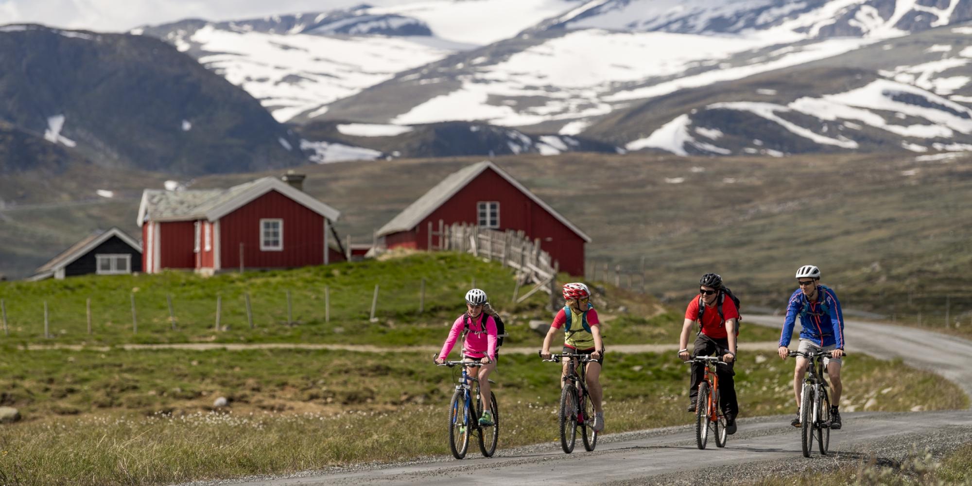 A family tour cycling on Mjølkevegen from Valdres to Gol, Eastern Norway