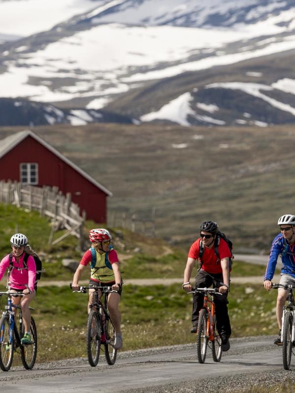 A family tour cycling on Mjølkevegen from Valdres to Gol, Eastern Norway
