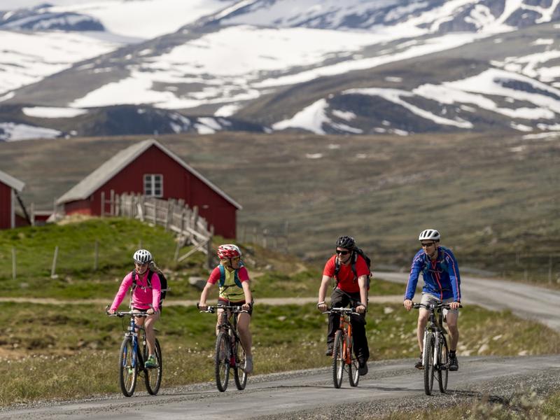 A family tour cycling on Mjølkevegen from Valdres to Gol, Eastern Norway