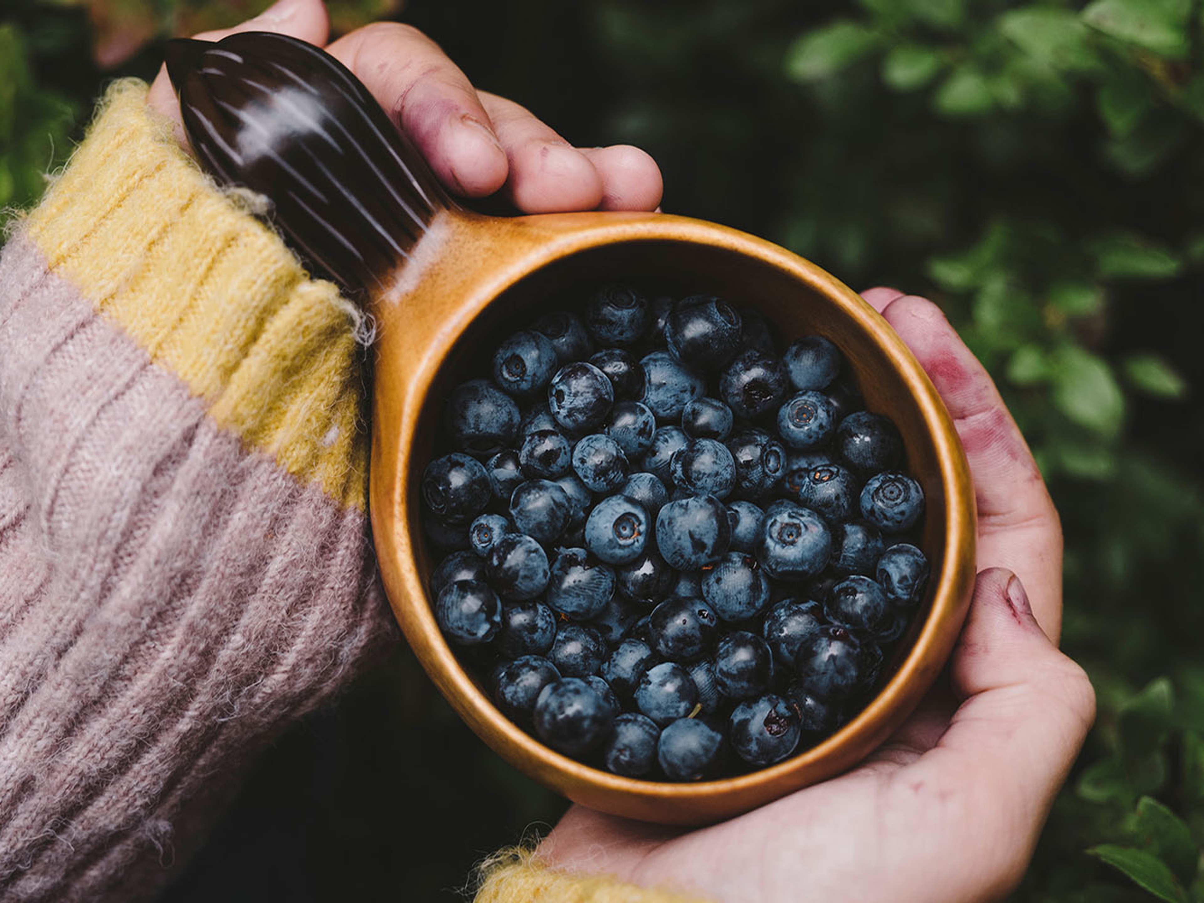 En kopp med blåbær i Trondheim