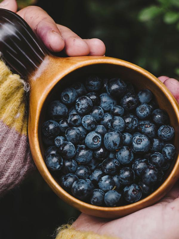 En kopp med blåbær i Trondheim