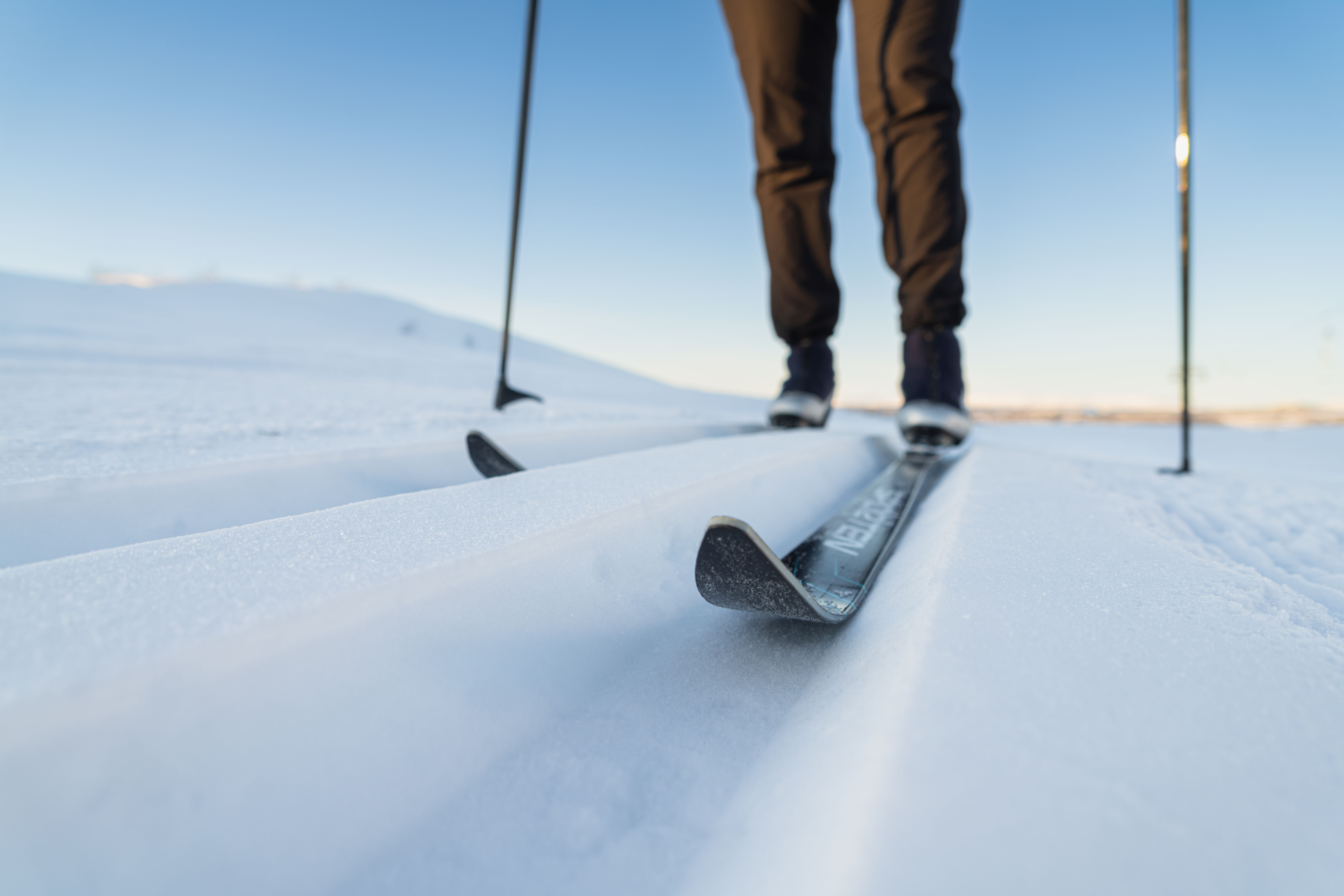 Close-up of a cross country ski in a track